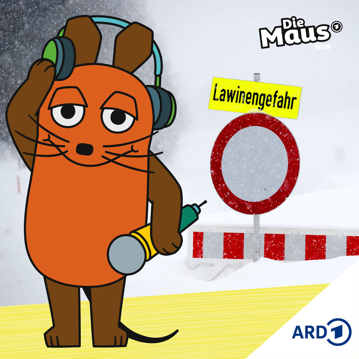 Wie digitale Helfer vor Lawinen schützen