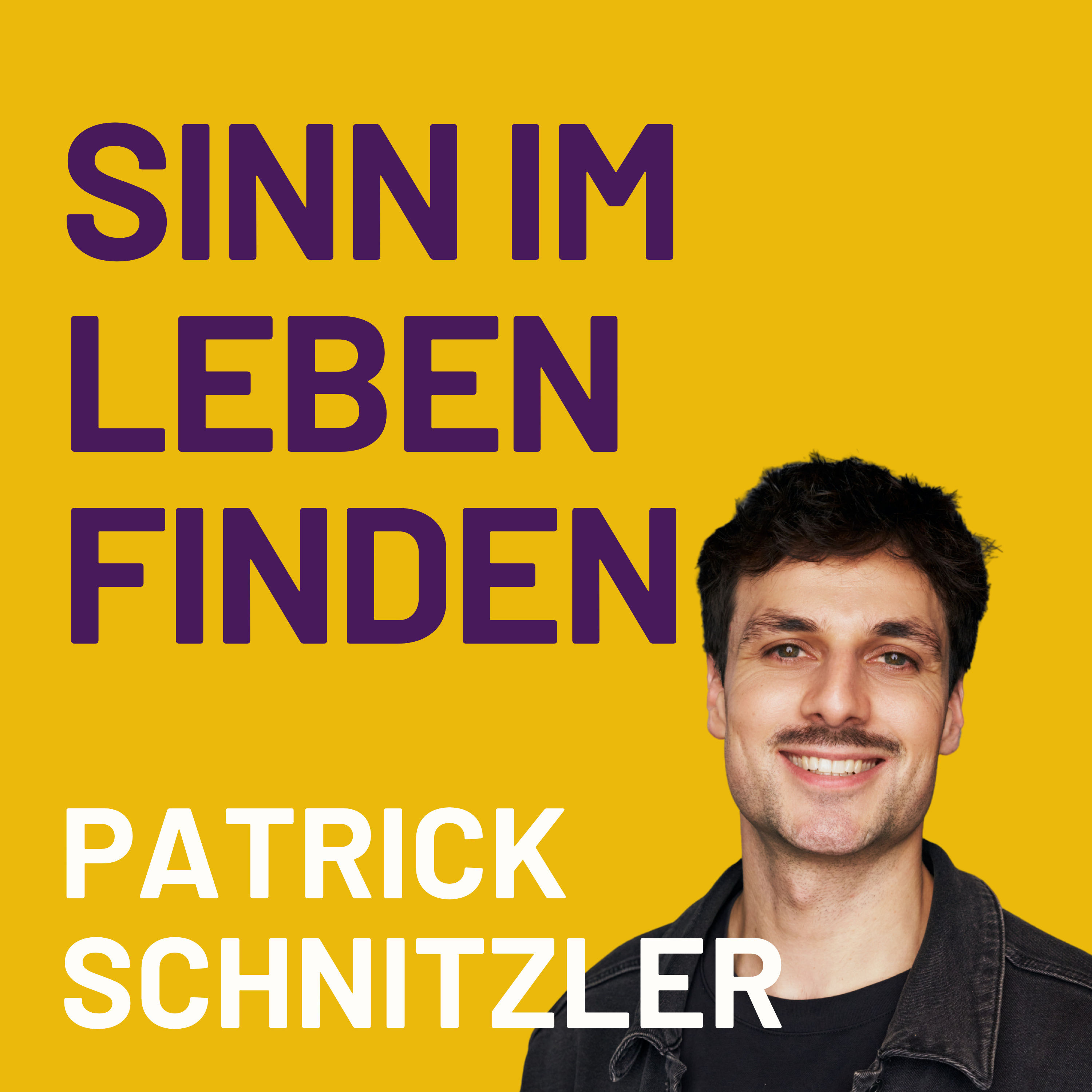 Wie du deine Berufung findest (mit Patrick Schnitzler)