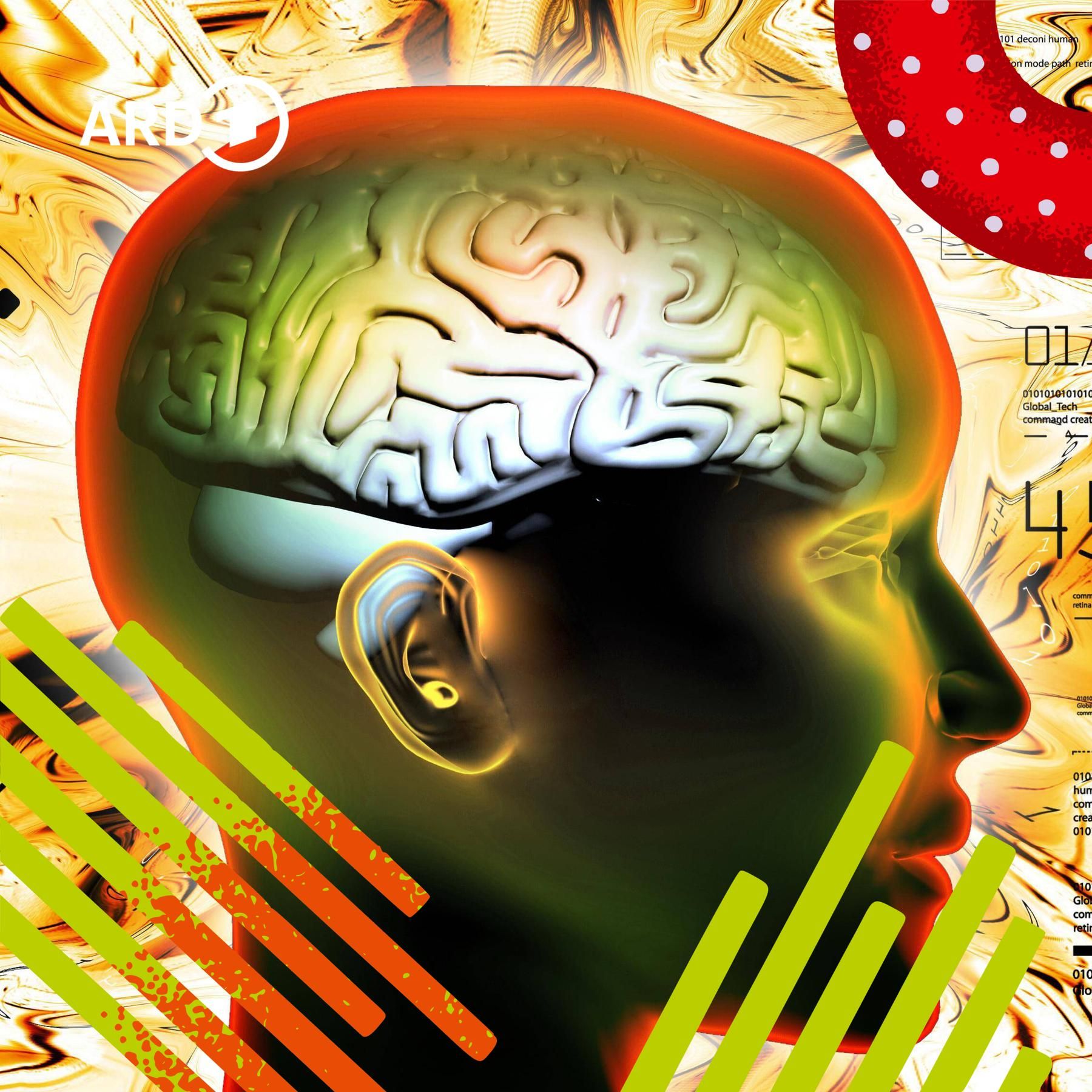 Wie entsteht Intelligenz - Und lässt sie sich fördern?
