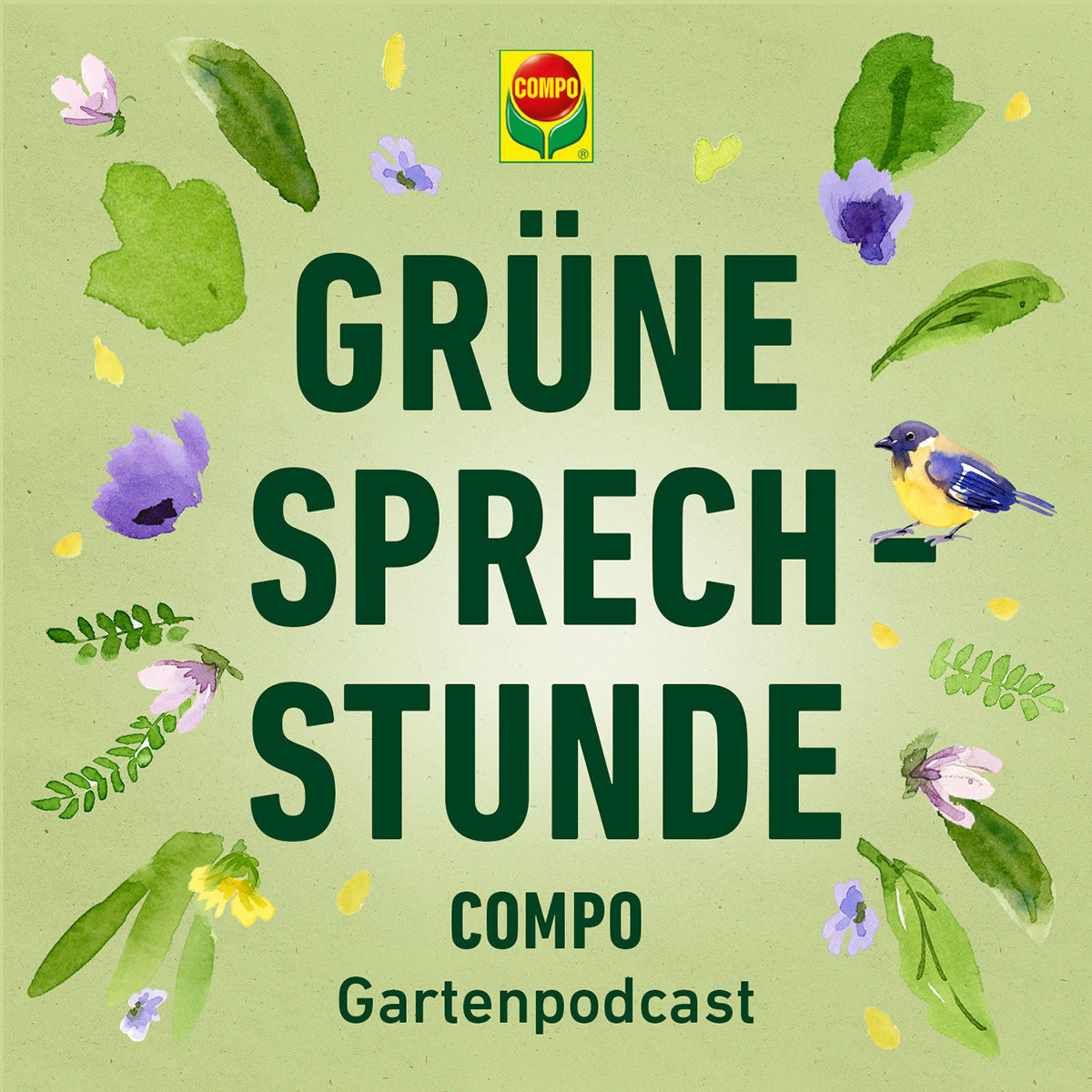 Wie finde ich die passende Rasensaat? – Grüne Sprechstunde