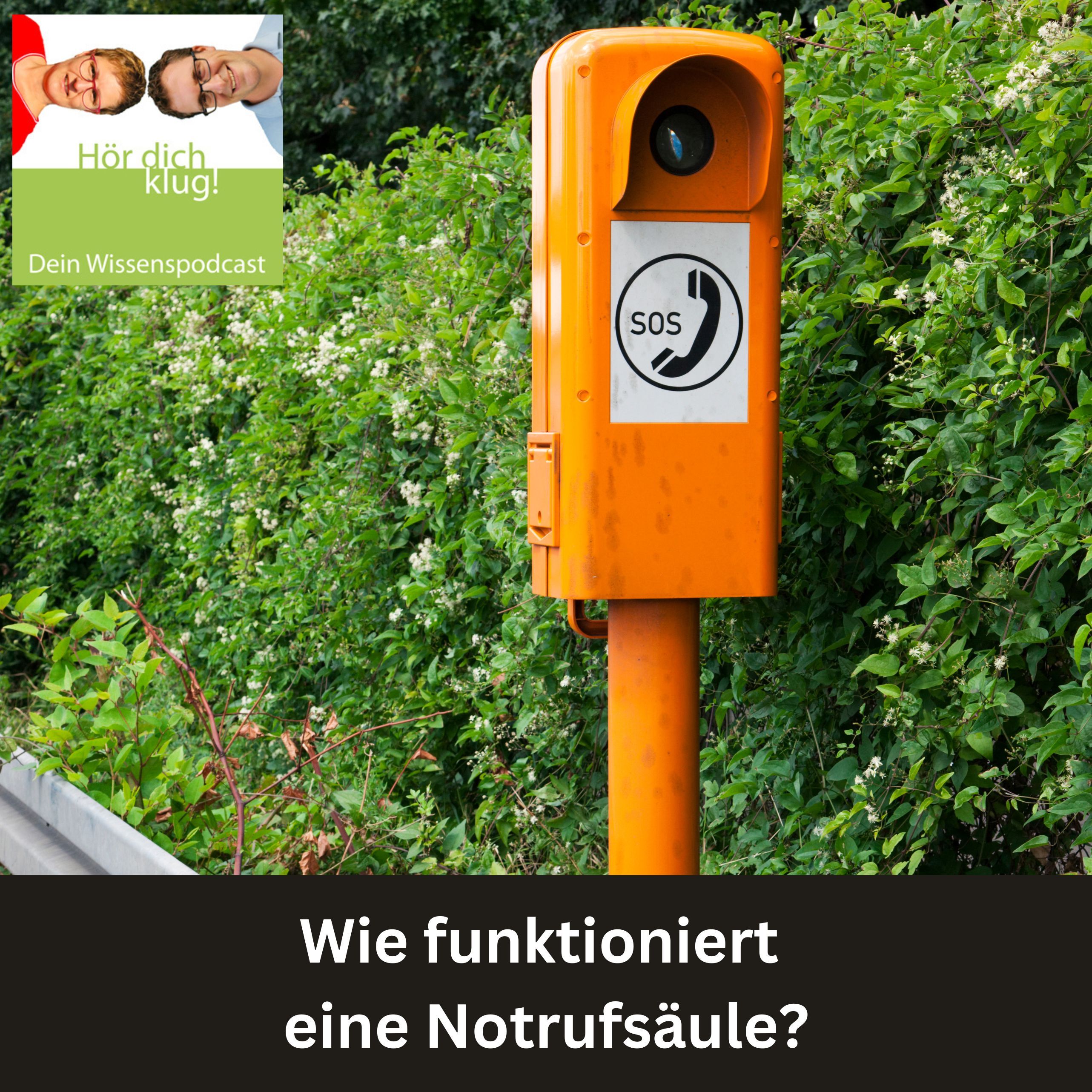 Wie funktioniert eine Notrufsäule?