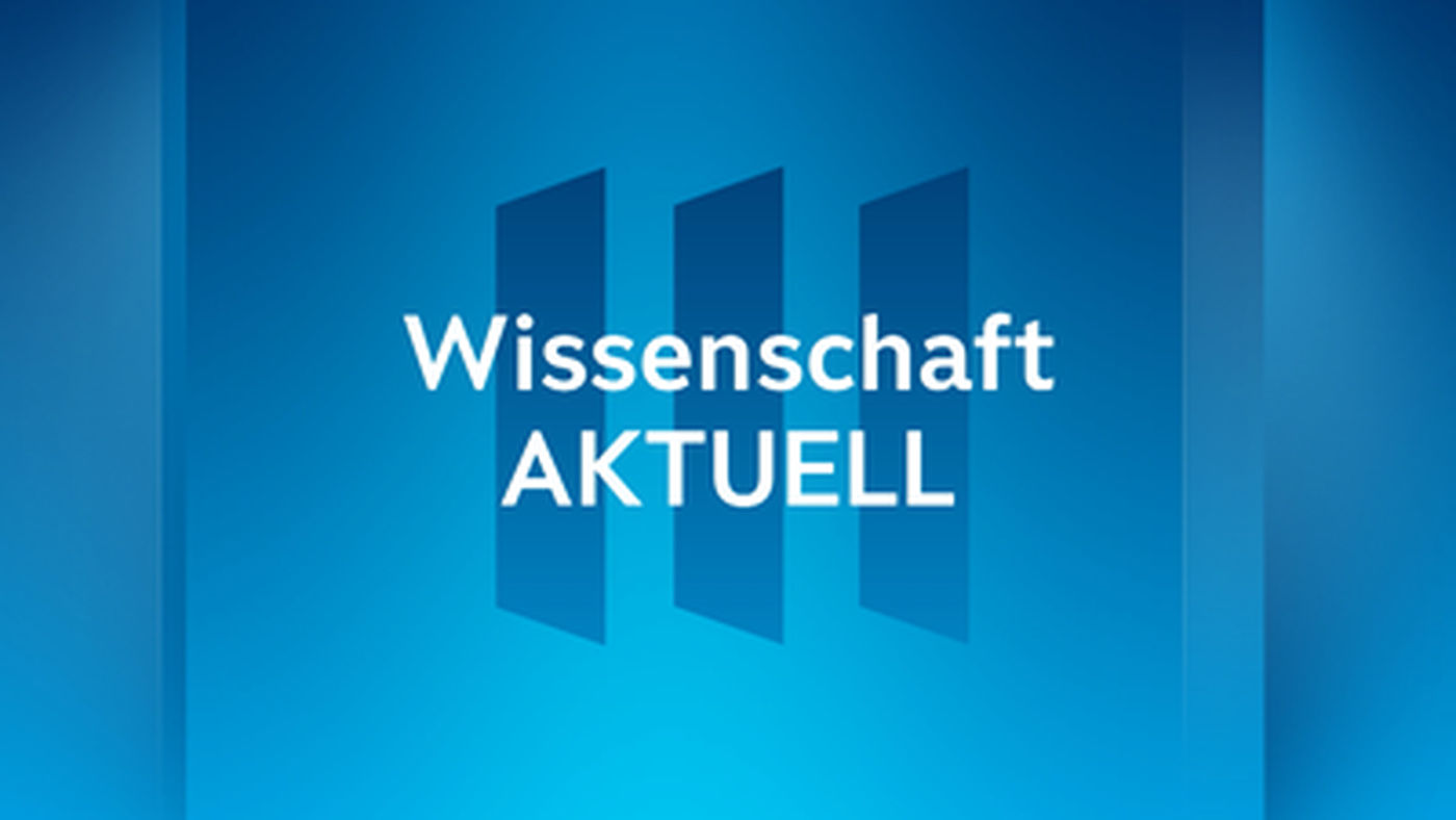 Wie gefährlich ist Asbest, Herr Gruber?