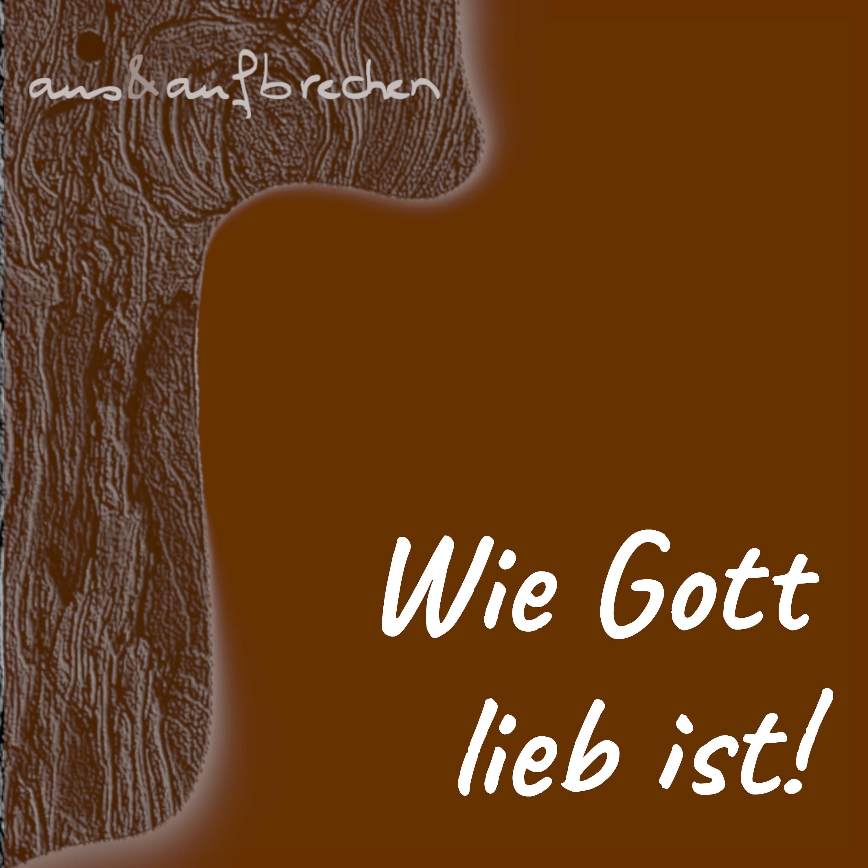 Wie Gott lieb ist - Folge 46