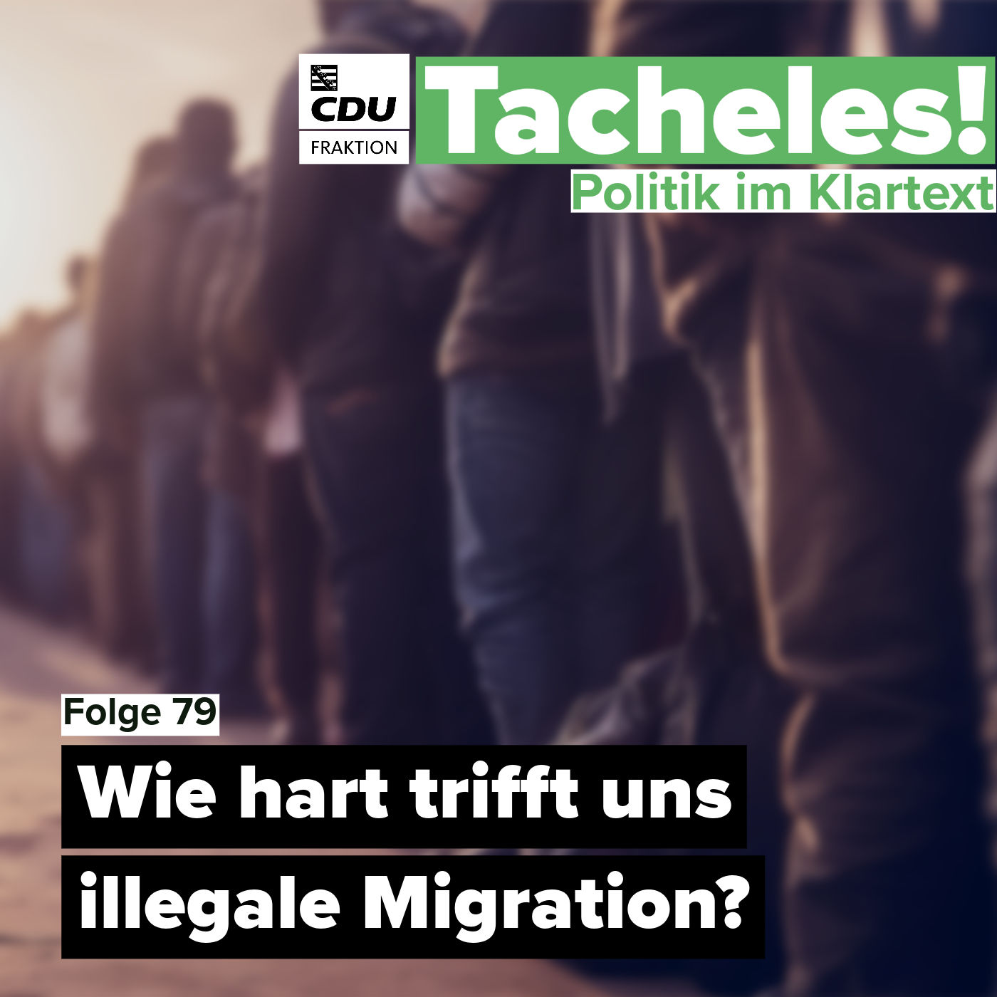 Wie hart trifft uns illegale Migration?