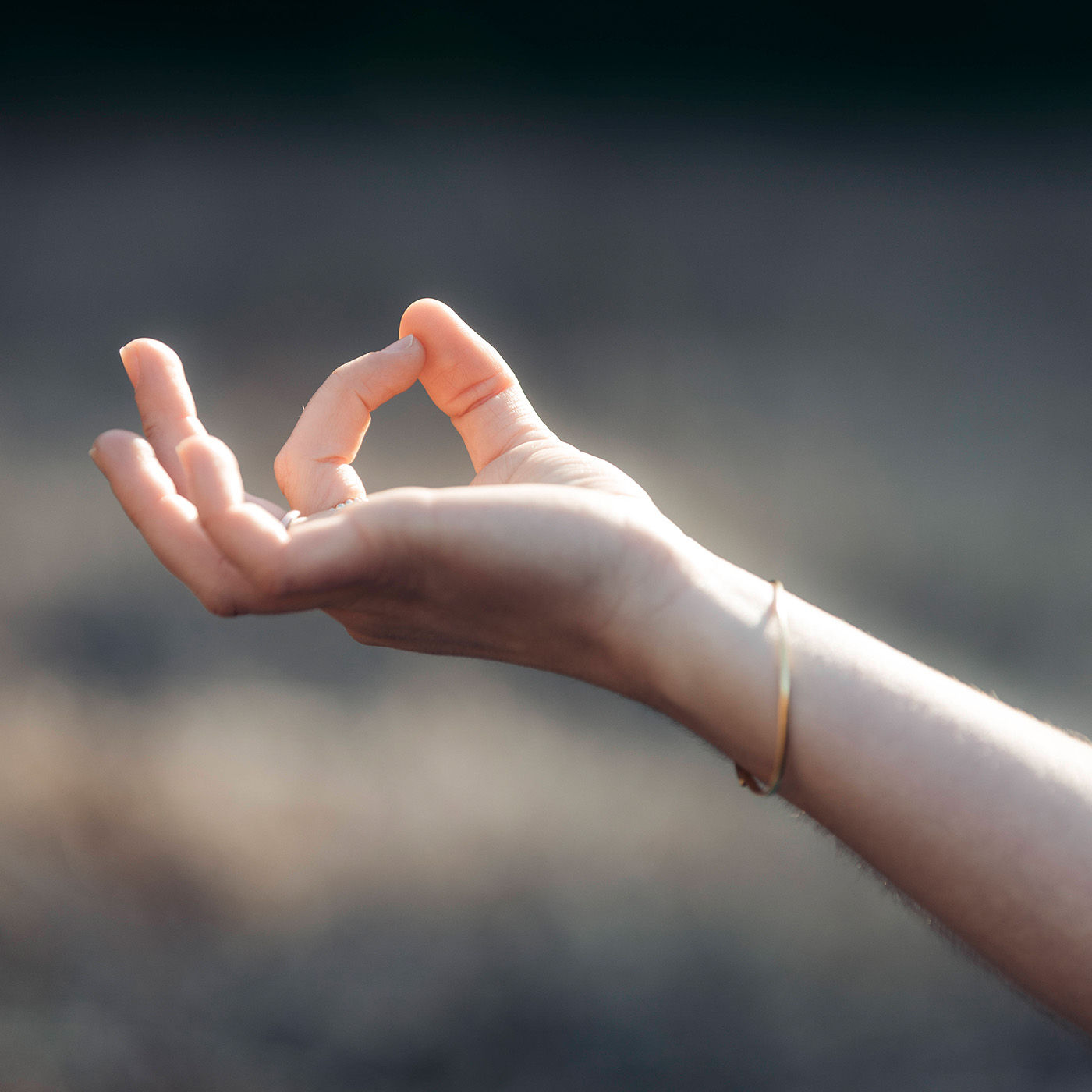 Gert Scobel: Selbsterkenntnis und Meditation