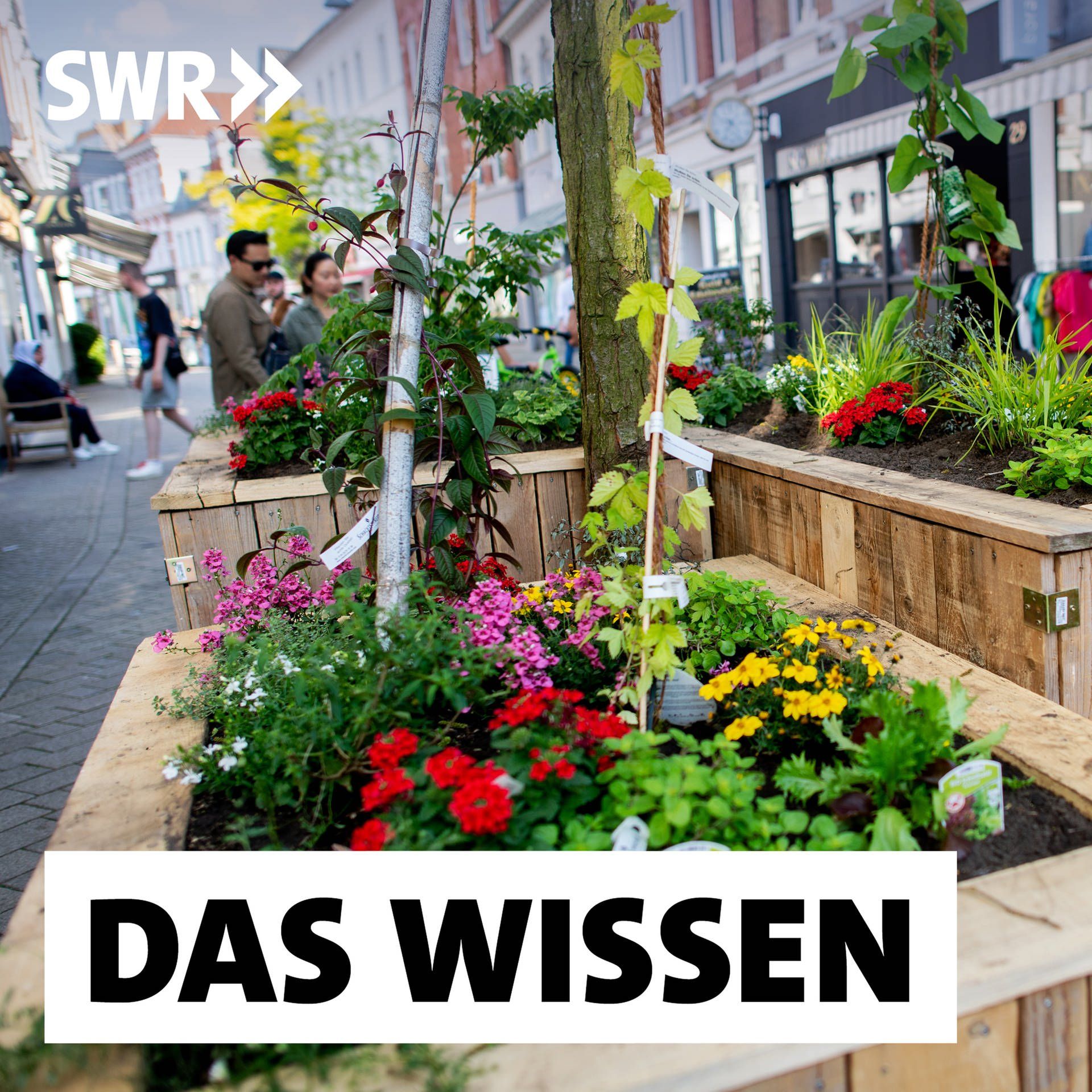 Wie Innenstädte wieder attraktiv werden – Grün, vielfältig und lebendig