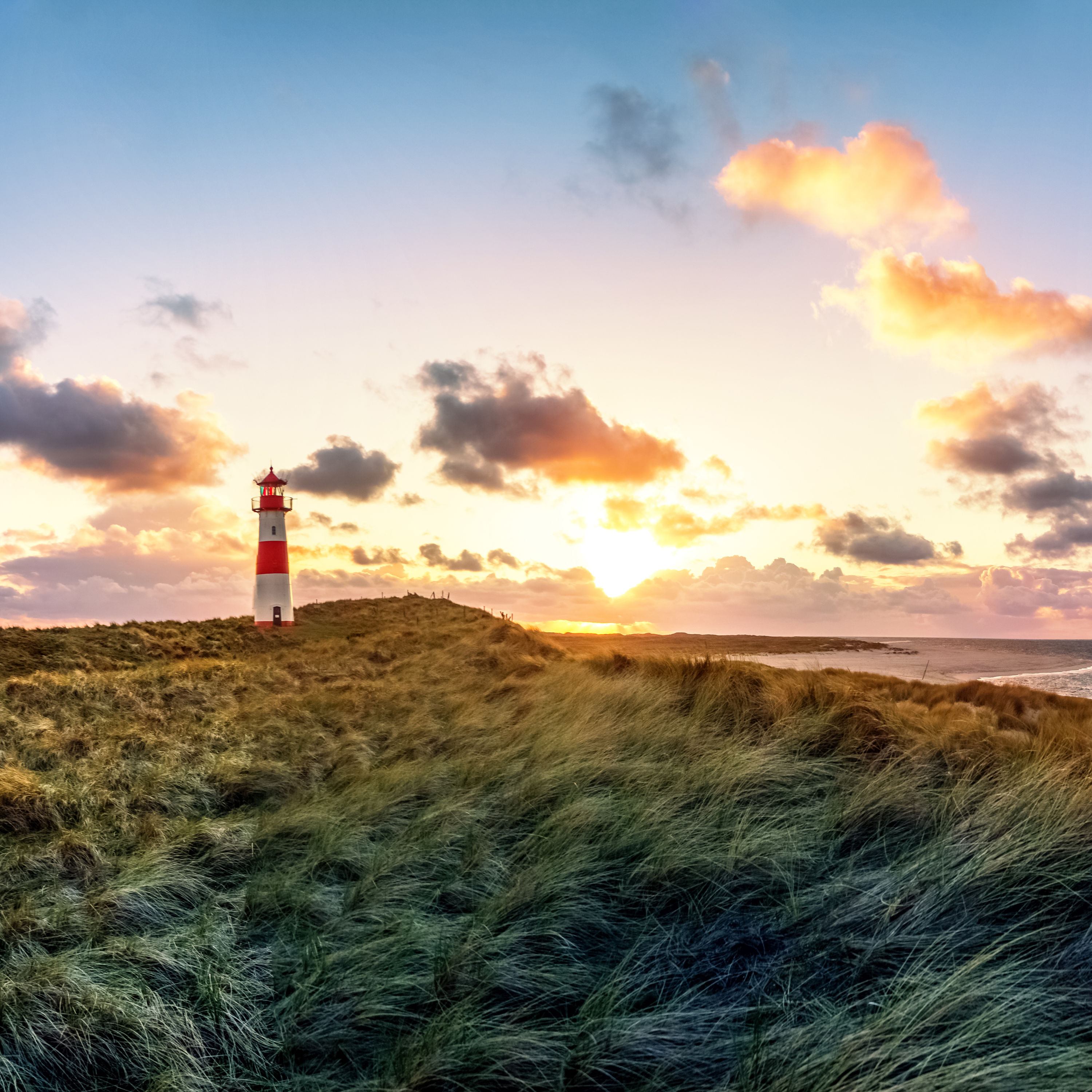 Wie kannst Du ins Human Design System einsteigen?