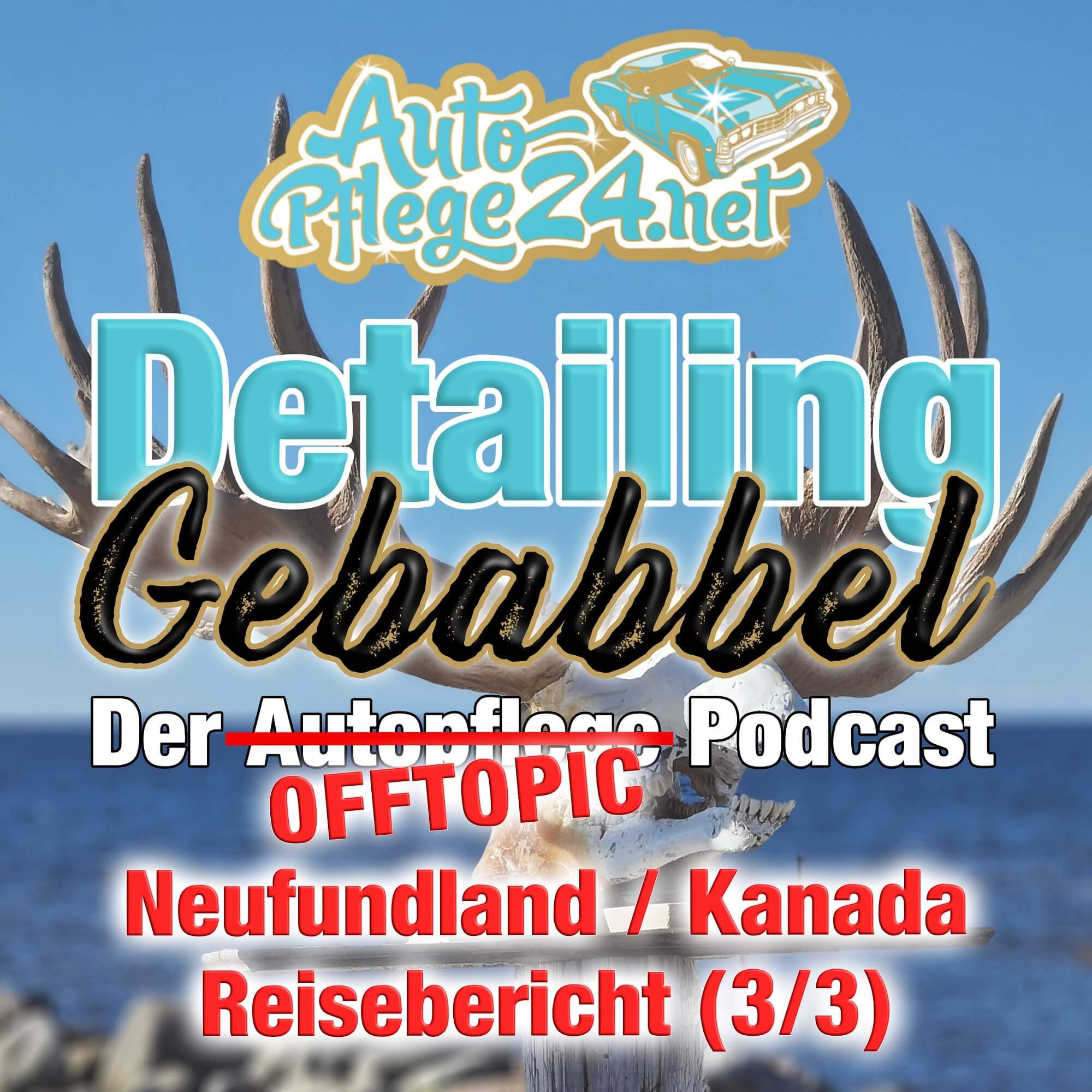 Wie kommt man denn da drauf? Unsere Reise nach Neufundland (Teil 3)
