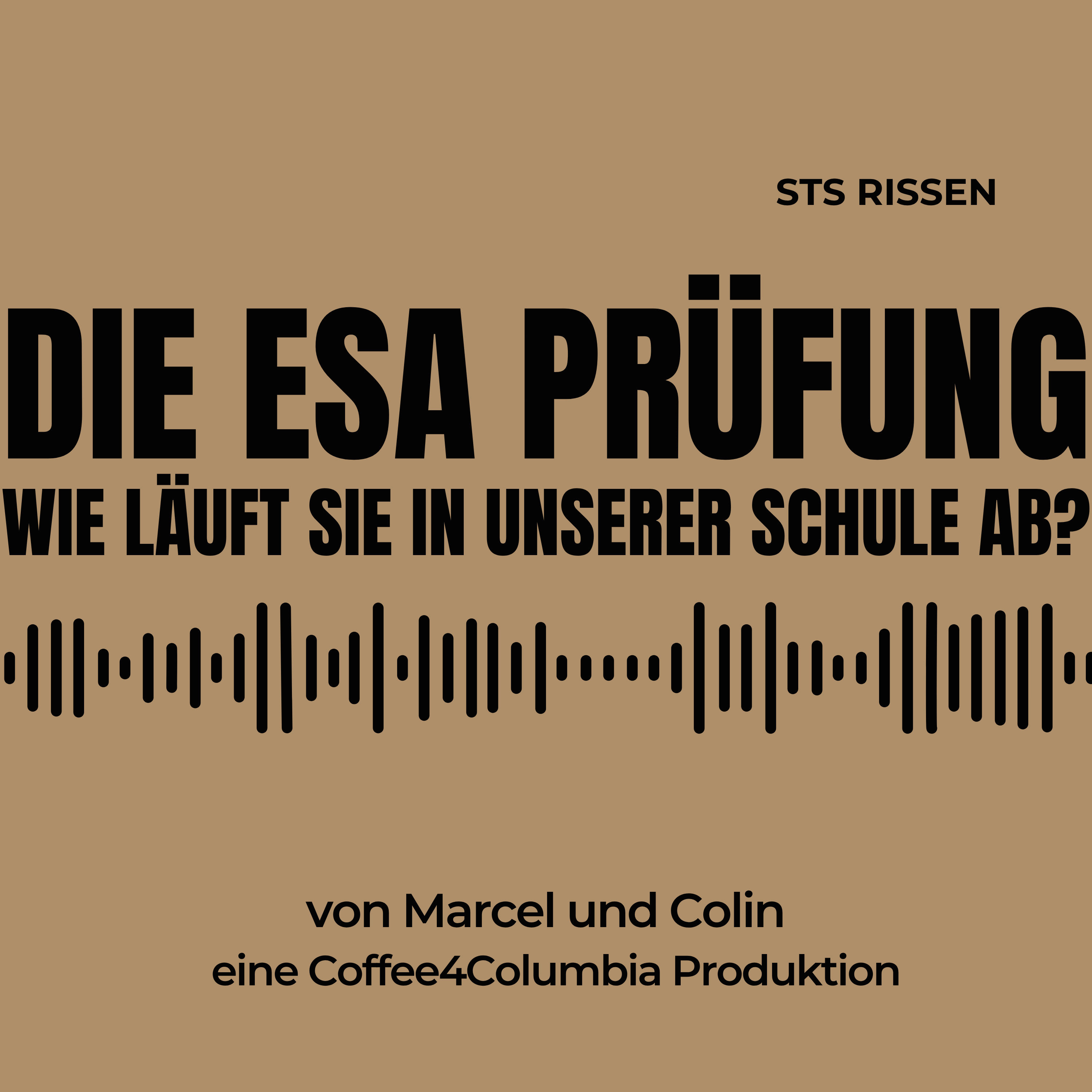 Wie läuft die ESA Prüfung in der Stadtteilschule Rissen ab. [S3, F6]