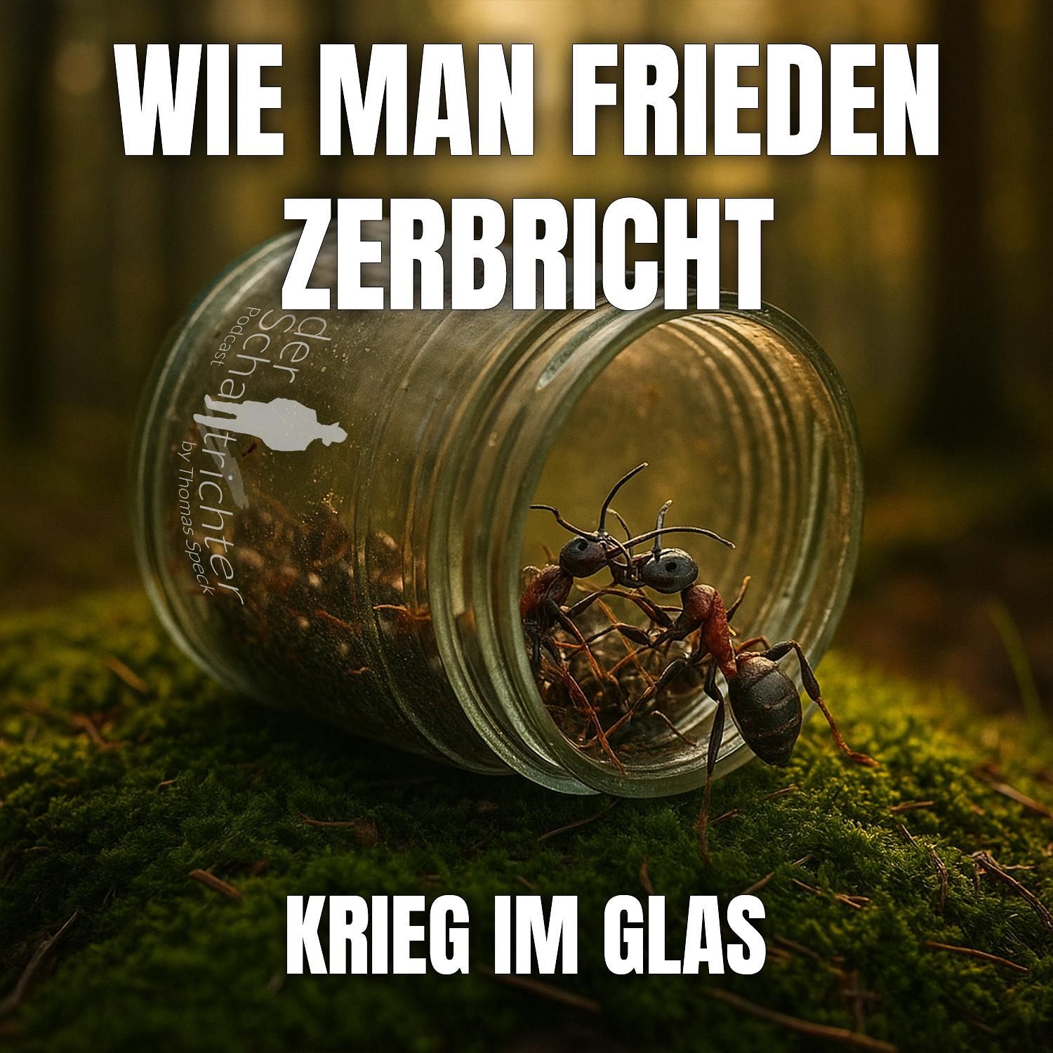 Wie man Frieden zerbricht - Krieg im Glas