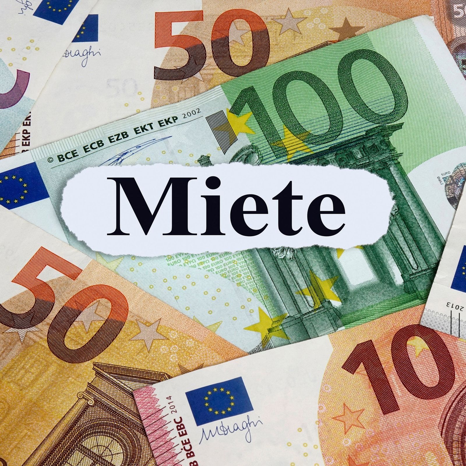 Wie Mietervereine mit dem rasanten Zulauf umgehen