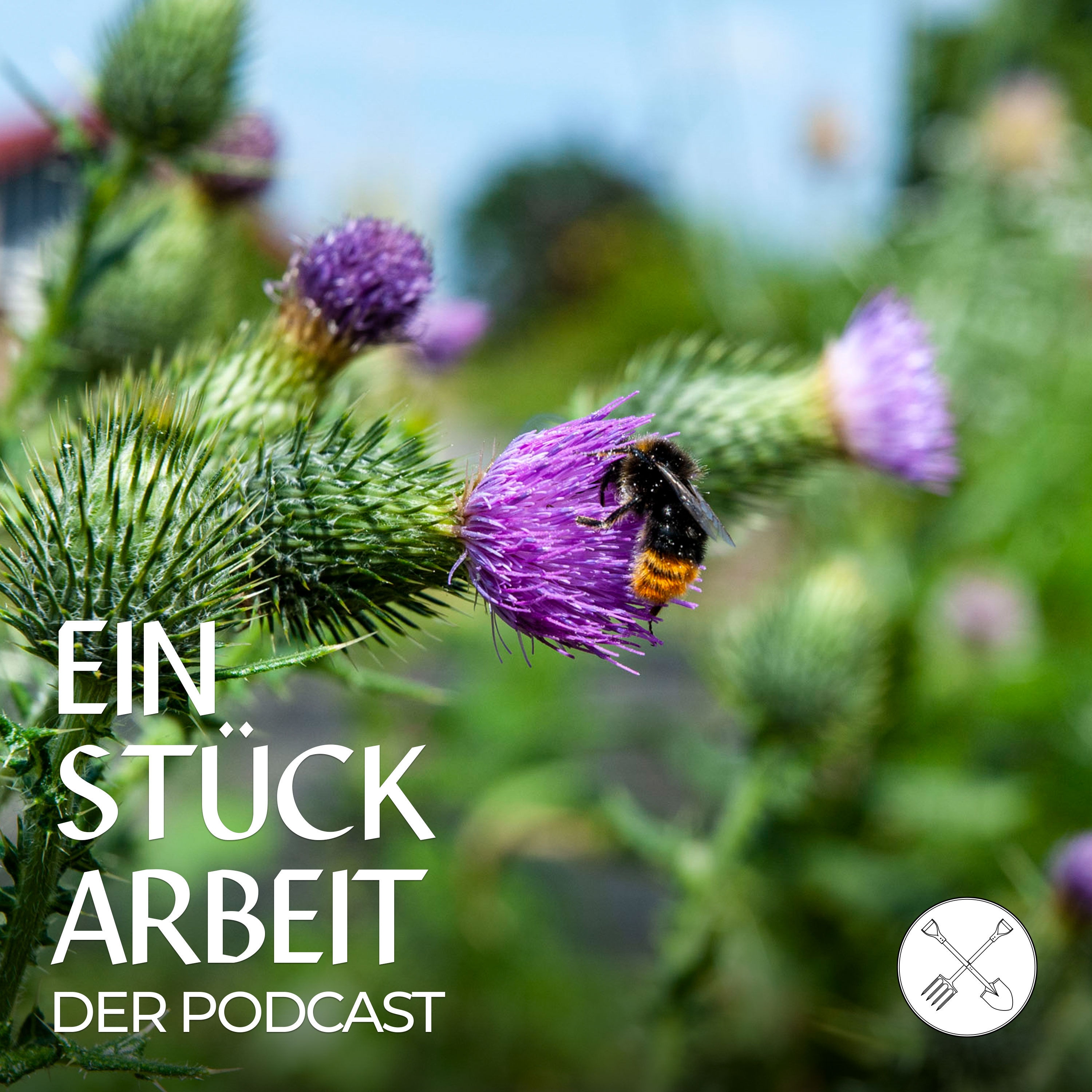 Wie nachhaltig gärtnern wir? – Über Müllvermeidung & Co. im Garten