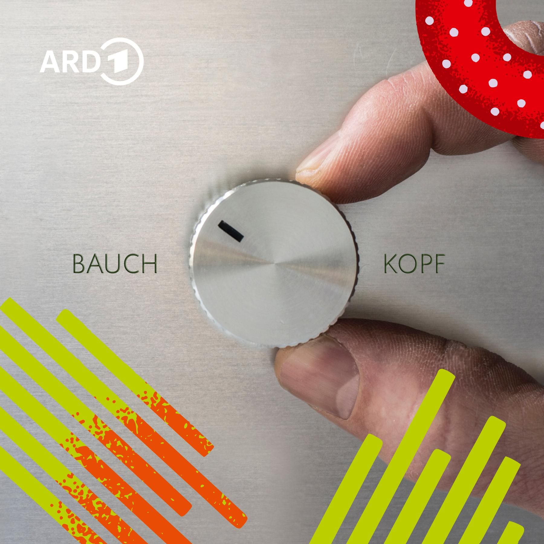 Wie rational sind meine Entscheidungen? – Von Verstand und Bauchgefühl