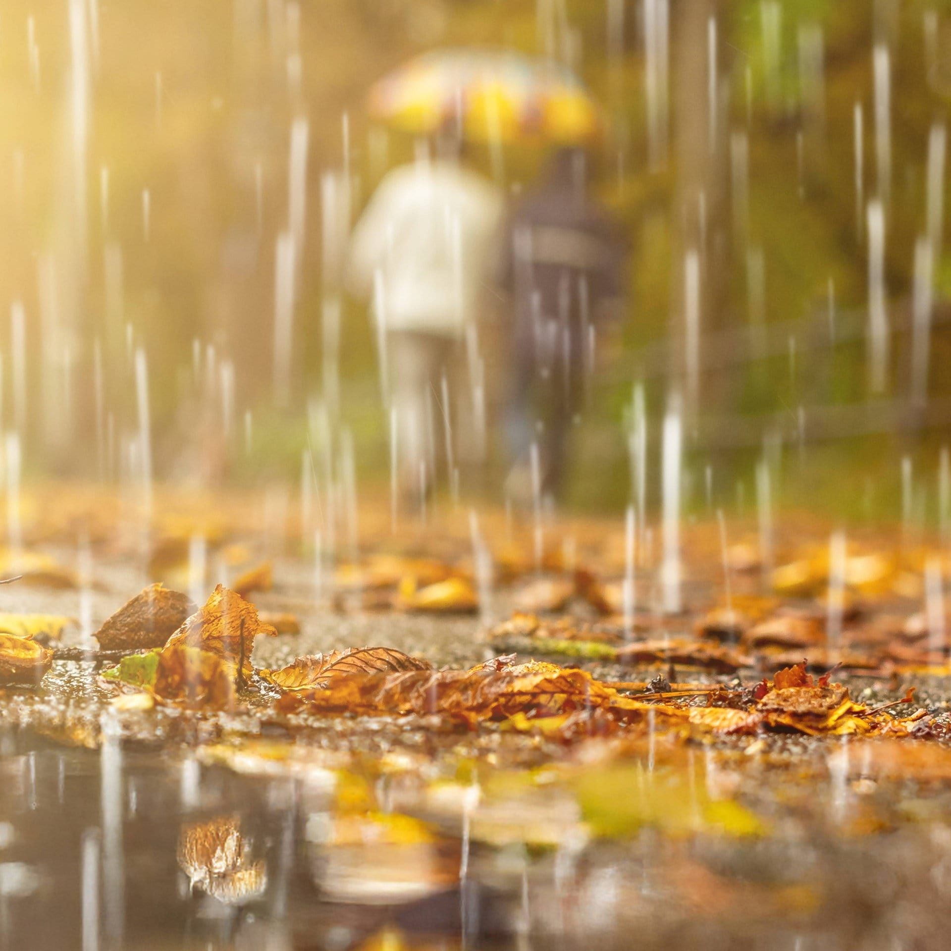 Wie schnell fallen Regentropfen?