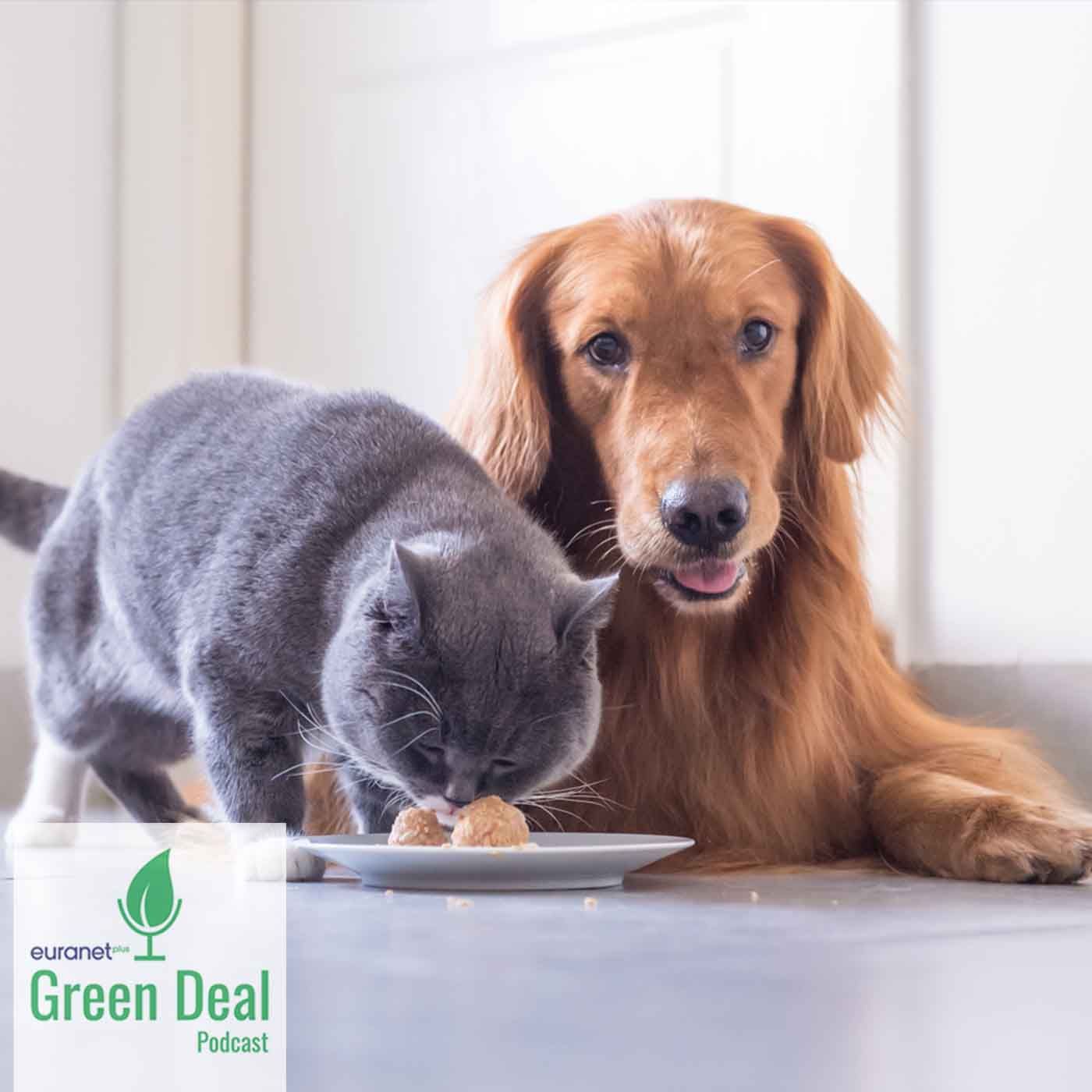 Wie sieht der CO2-Abdruck unserer Haustiere aus?