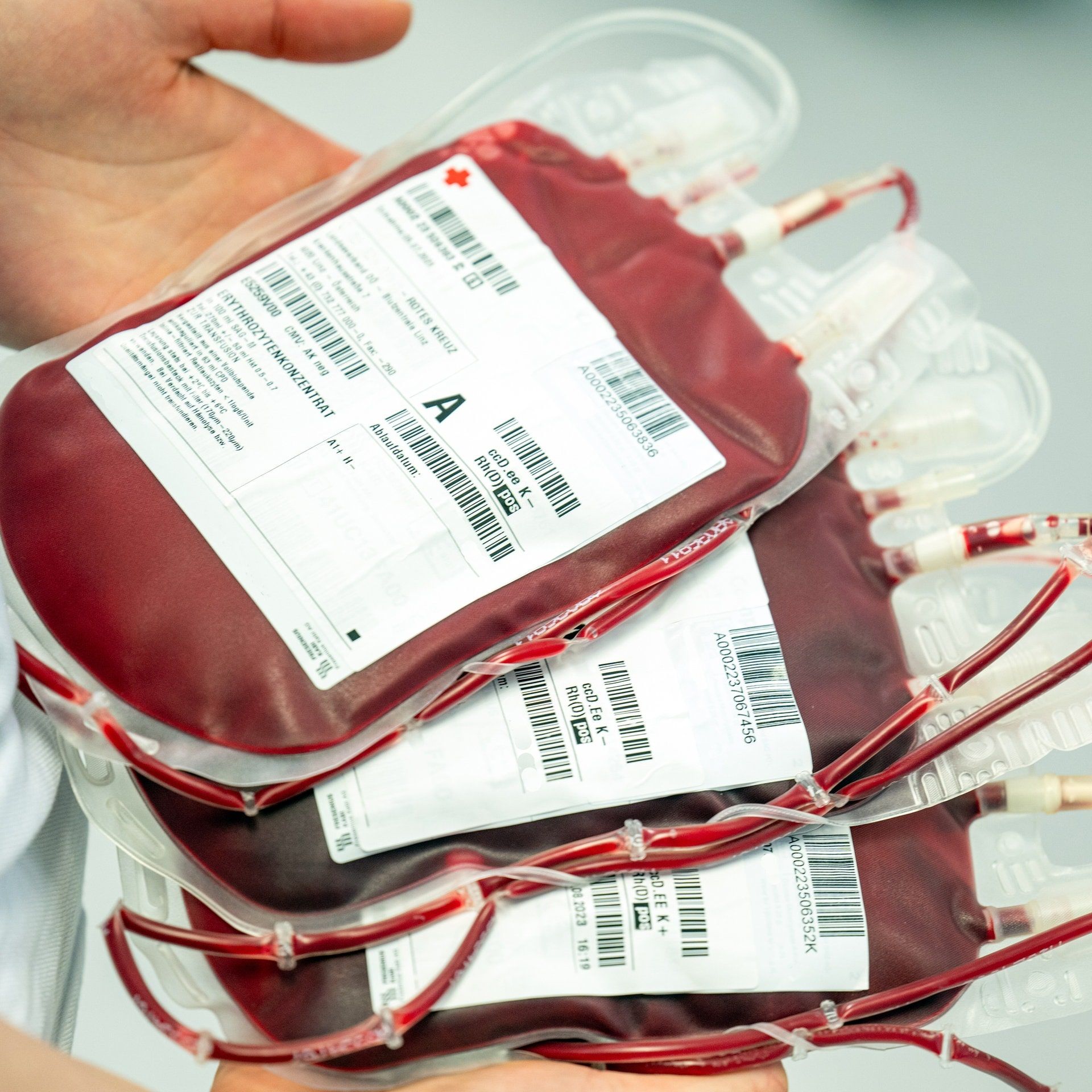 Wie sind die verschiedenen Blutgruppen entstanden?