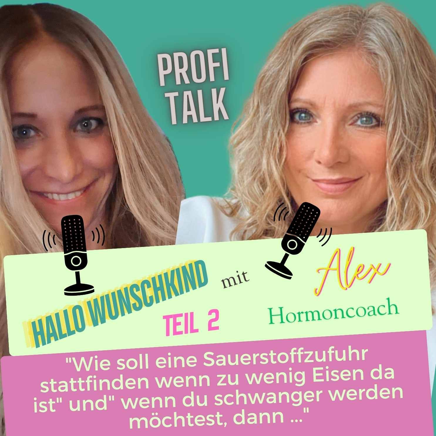 "Wie soll eine Suerstoffzufuhr stattfinden, wenn zu wenig Eisen da ist" und "Wenn du schwanger werden möchtest, dann..,.