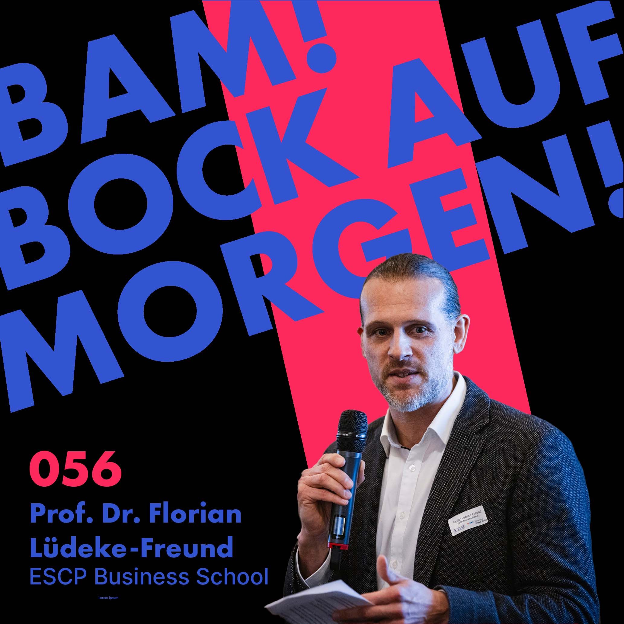 Wie steht es um nachhaltige Geschäftsmodelle in Deutschland, Prof. Dr. Lüdeke-Freund