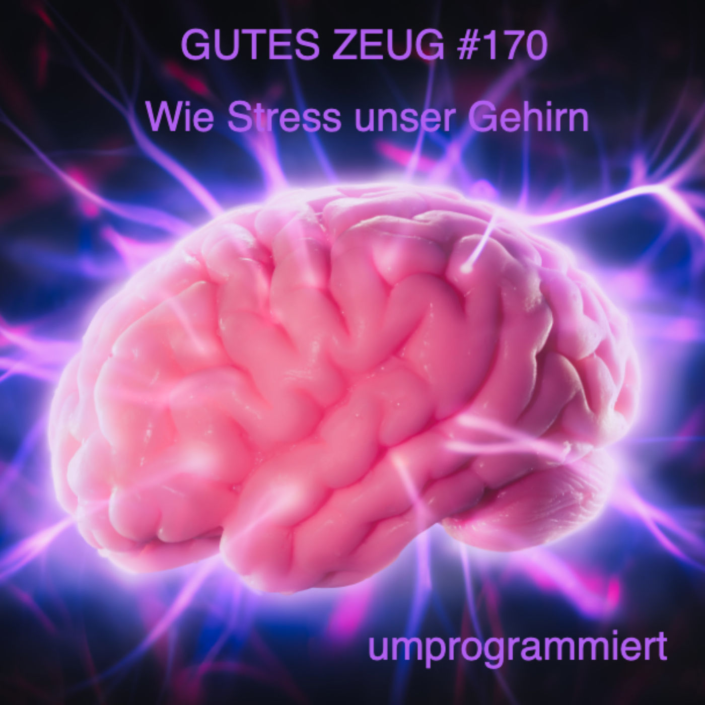 #170 Wie Stress unser Gehirn umprogrammiert und eine Methode, wie wir dem entgegen wirken können.
