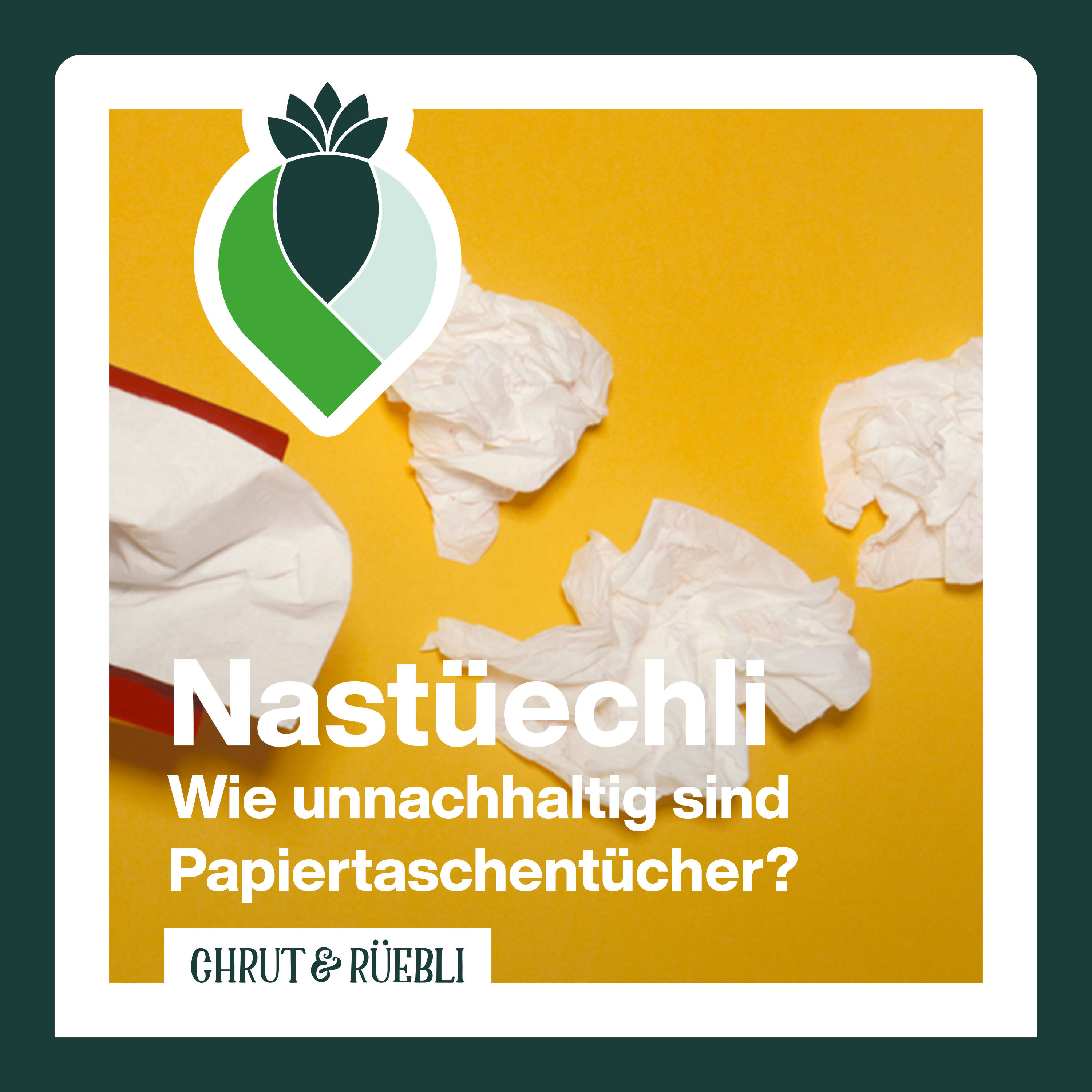 Wie unnachhaltig sind Papiertaschentücher?