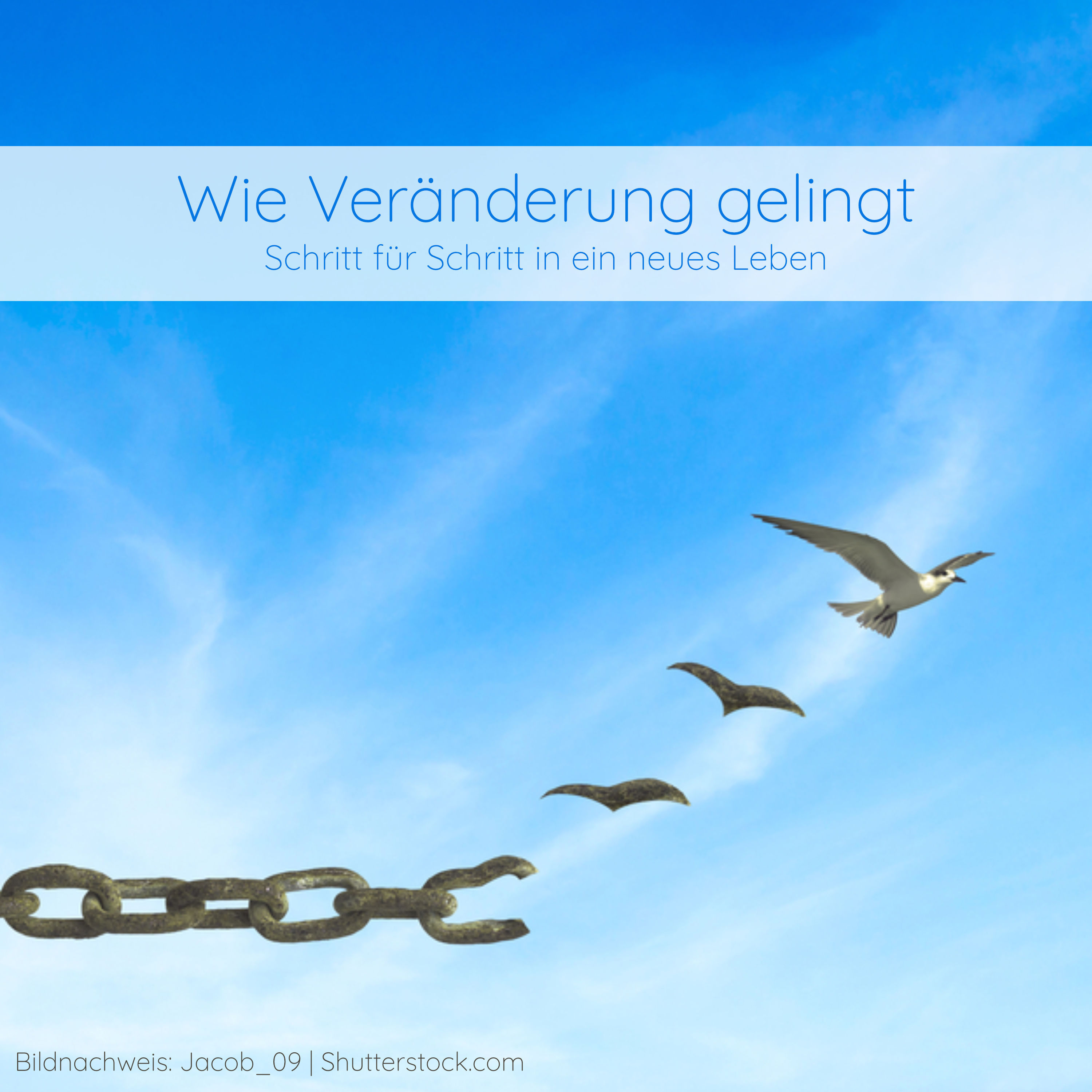 Wie Veränderung gelingt - die Zweite :)