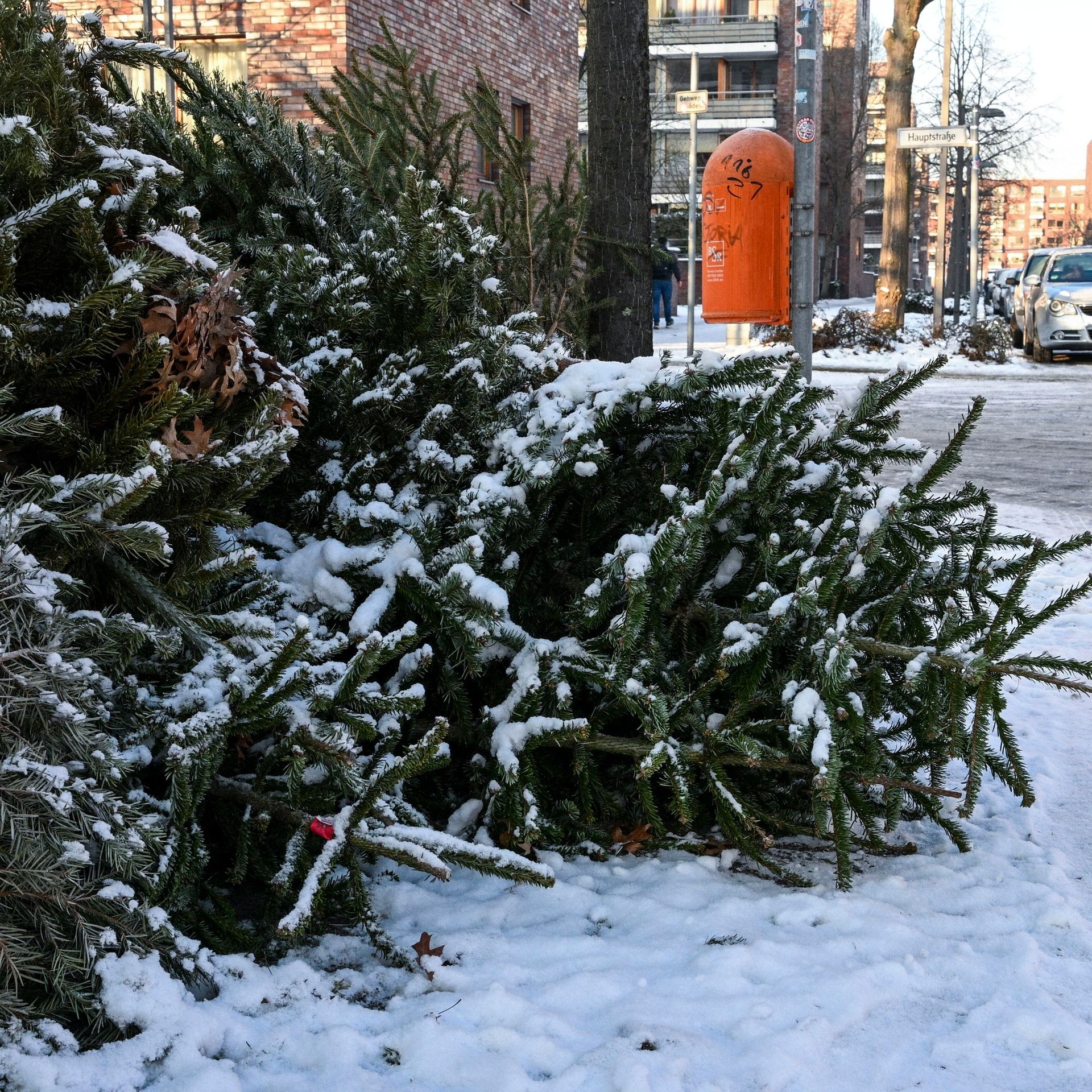 Wie viel Energie steckt jetzt noch im Weihnachtsbaum?