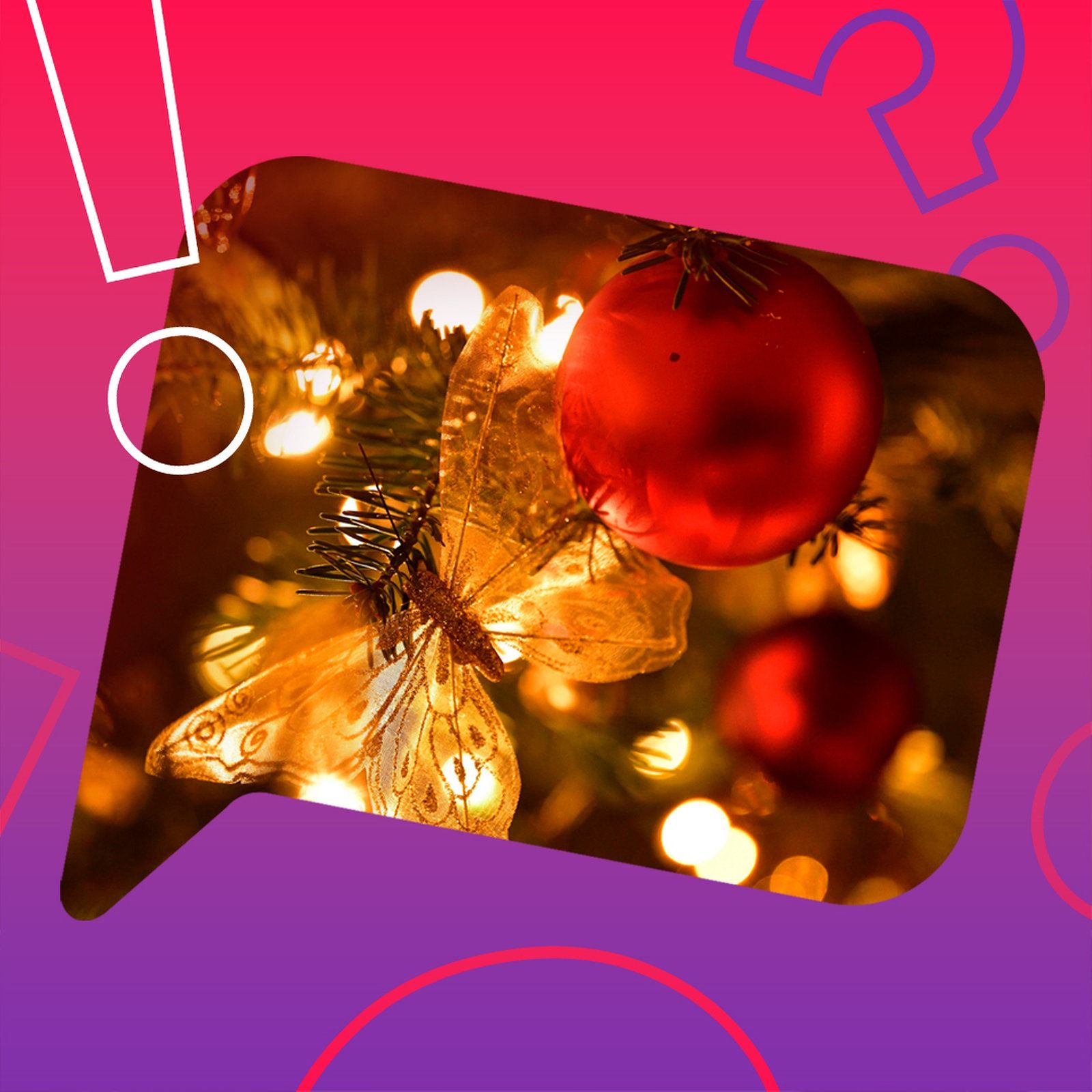 Wie viele Nadeln hat ein Weihnachtsbaum?