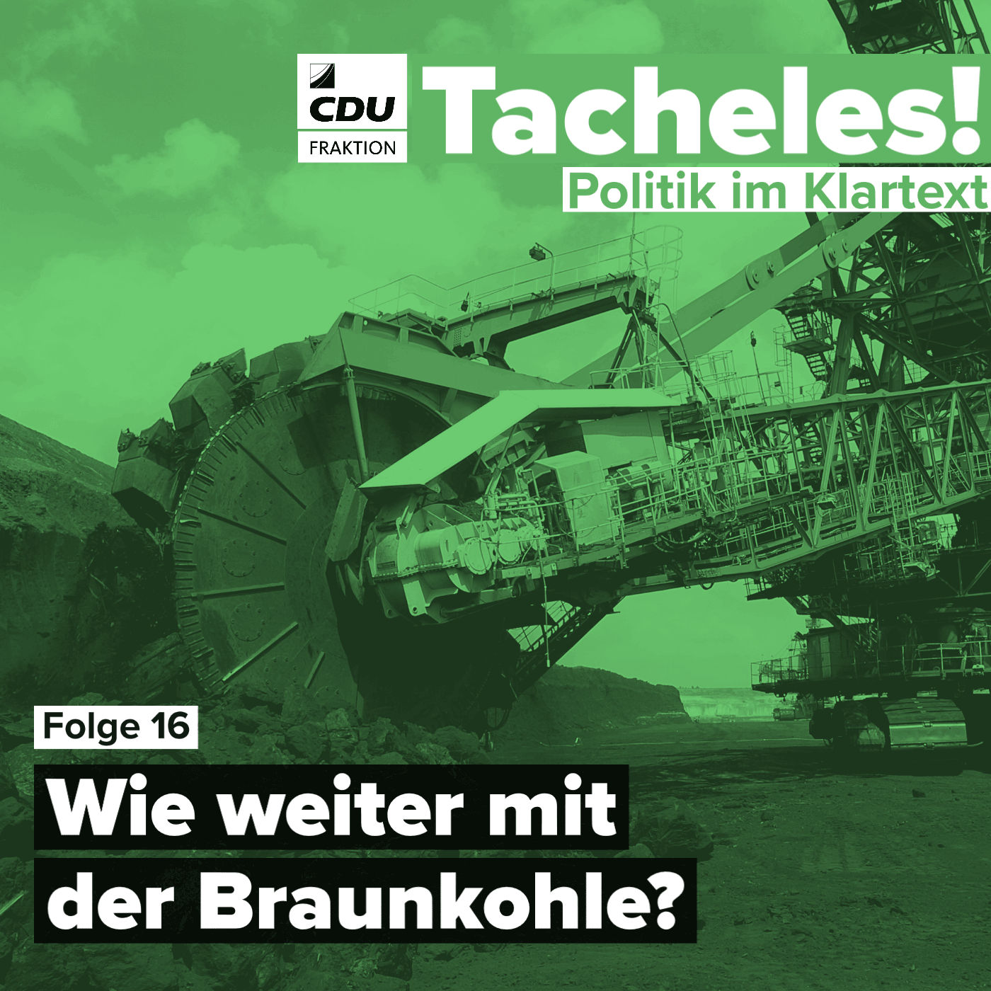 Wie weiter mit der Braunkohle?