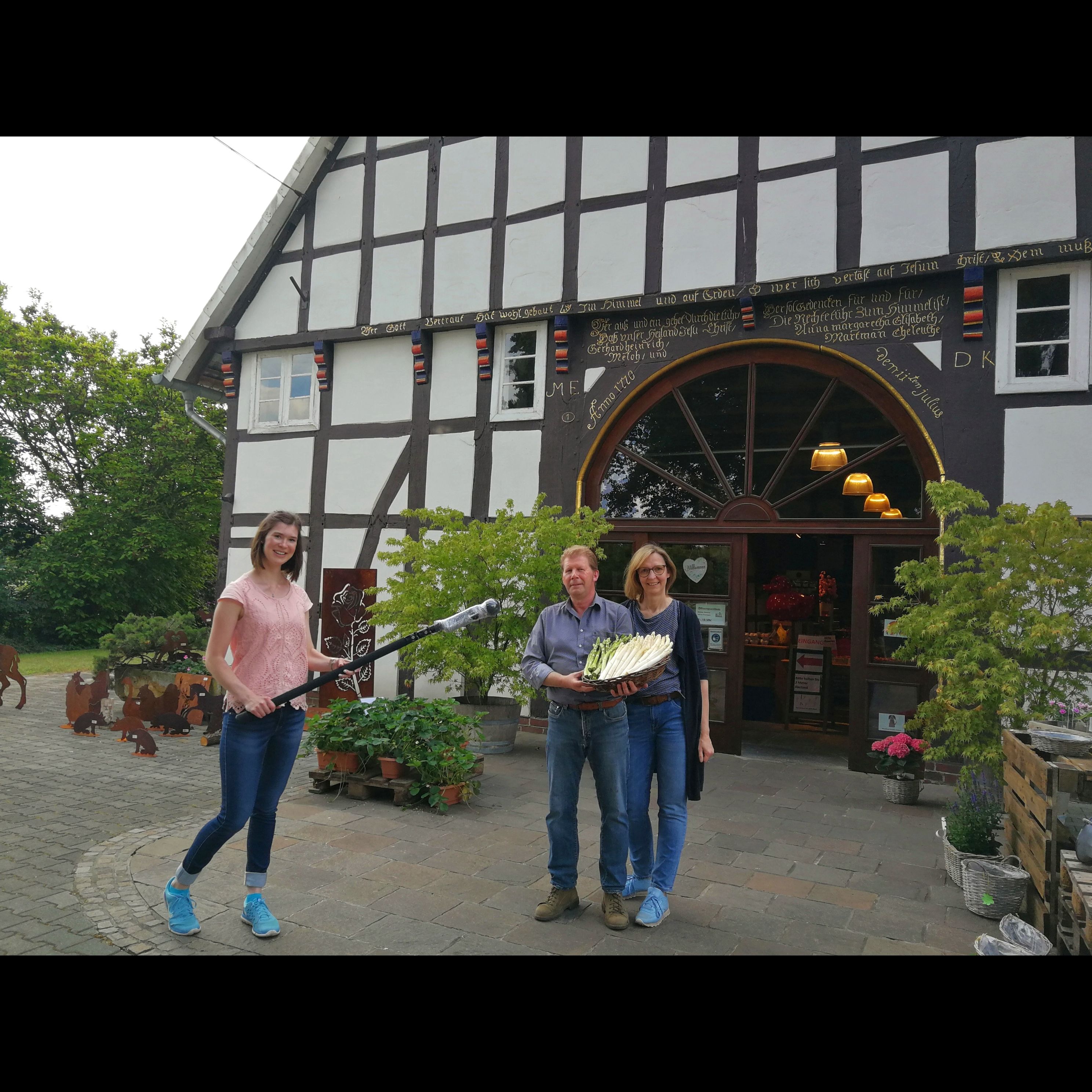 Wie wird Spargel angebaut und gestochen?