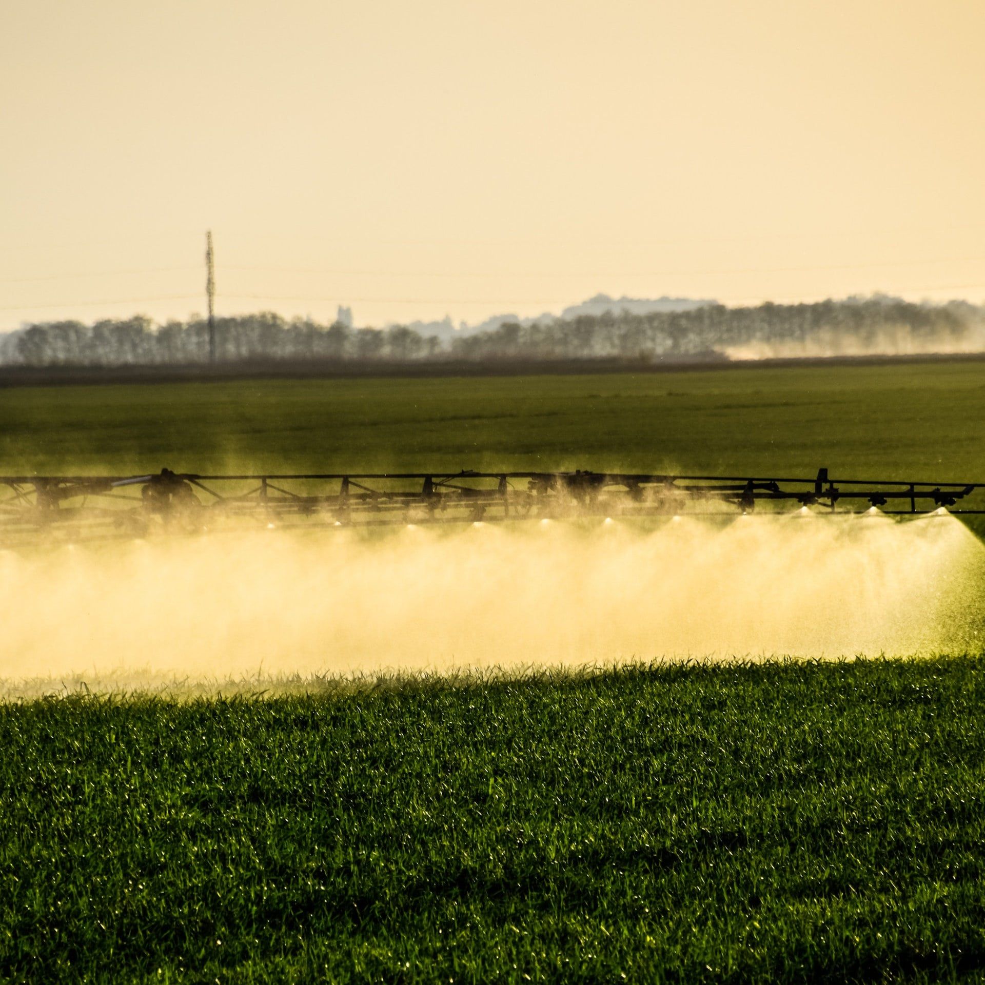 Wiederaufbereitung von Phosphor: Aus Klärschlamm wird Mineraldünger