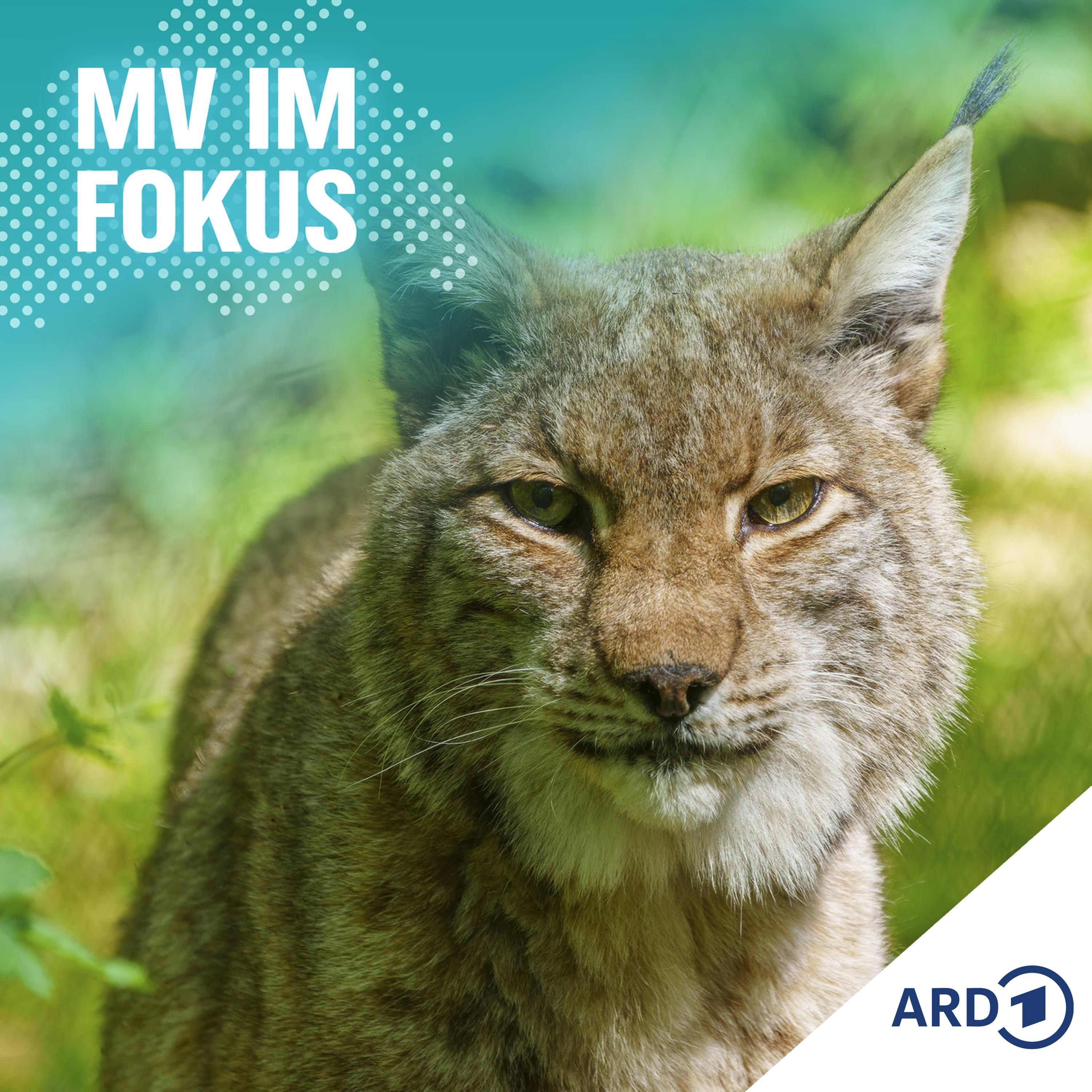 Wildes Oder-Delta: Eine Chance für Mensch und Natur?