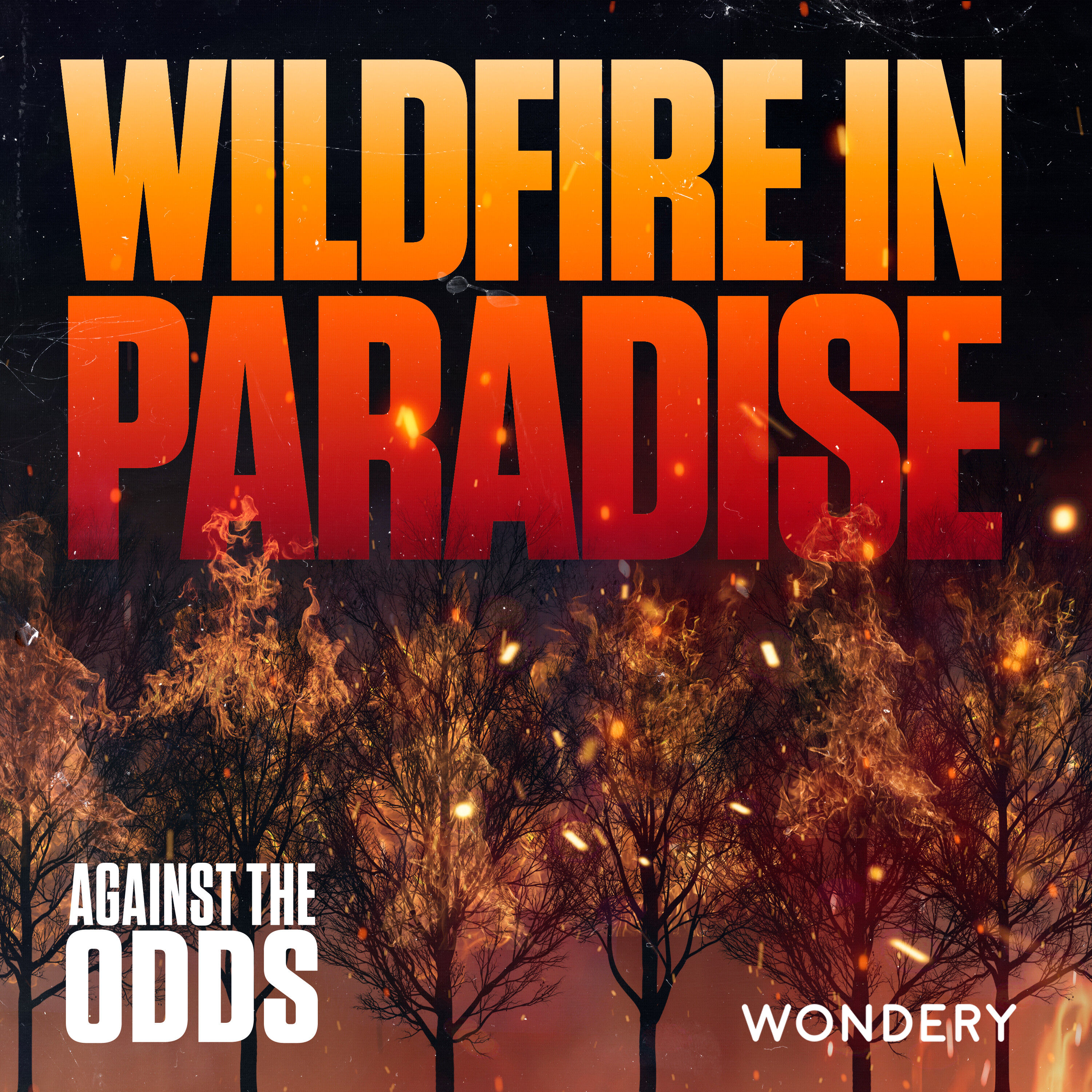 Wildfire in Paradise | Ignition | 1