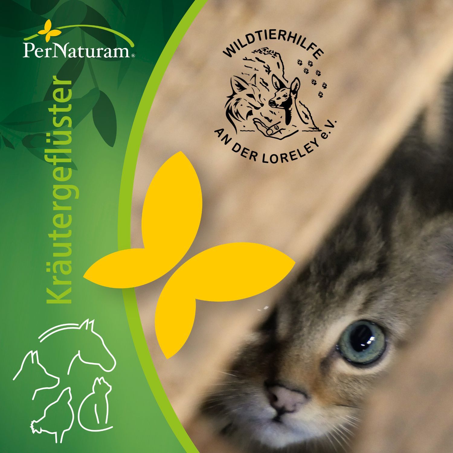 Wildtierhilfe an der Loreley e.V.