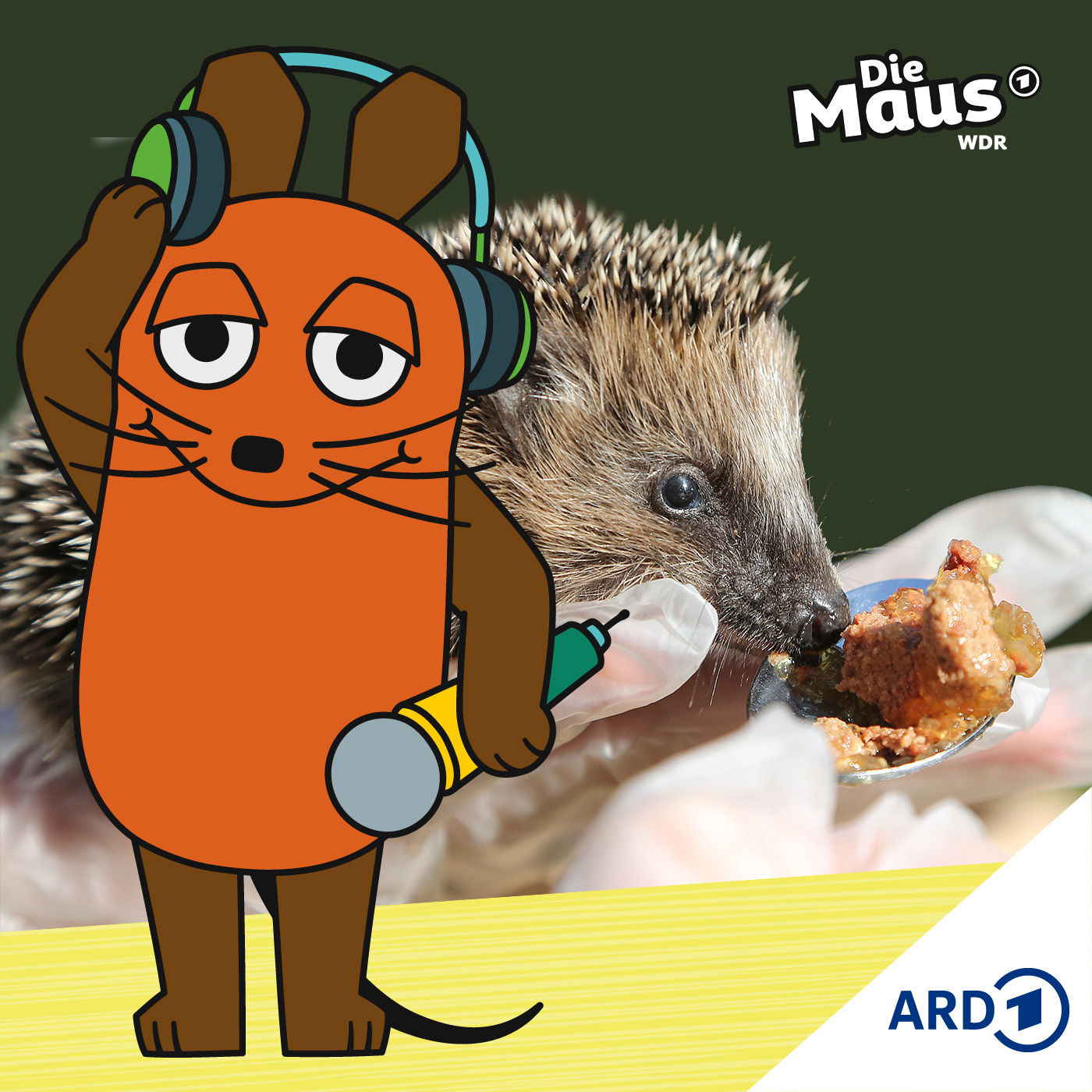 Wildtierpfleger schlagen Alarm - Sie brauchen Geld und Hilfe