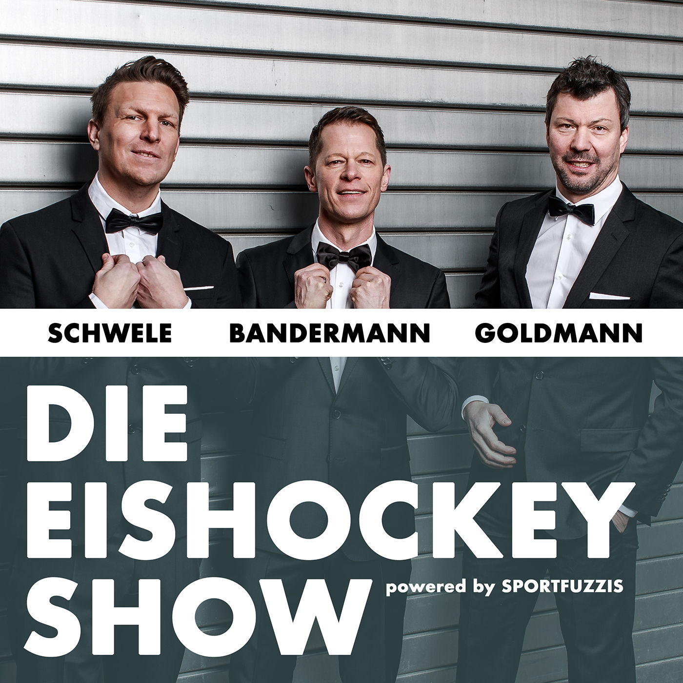 Willkommen zu "Die Eishockey-Show"