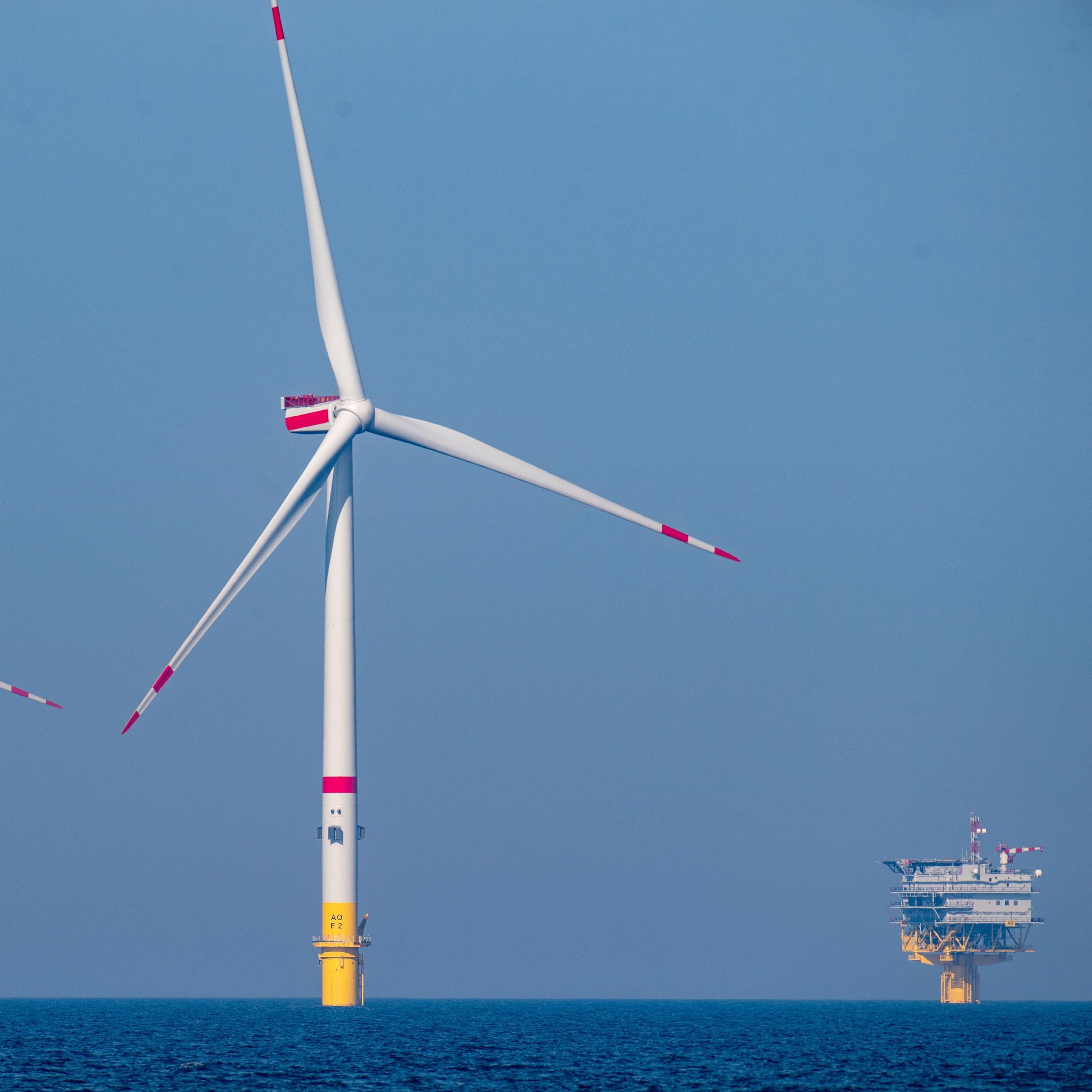 Windparks an "falschen Stellen"? Eon-Chef erklärt, warum Netzentgelte steigen und steigen