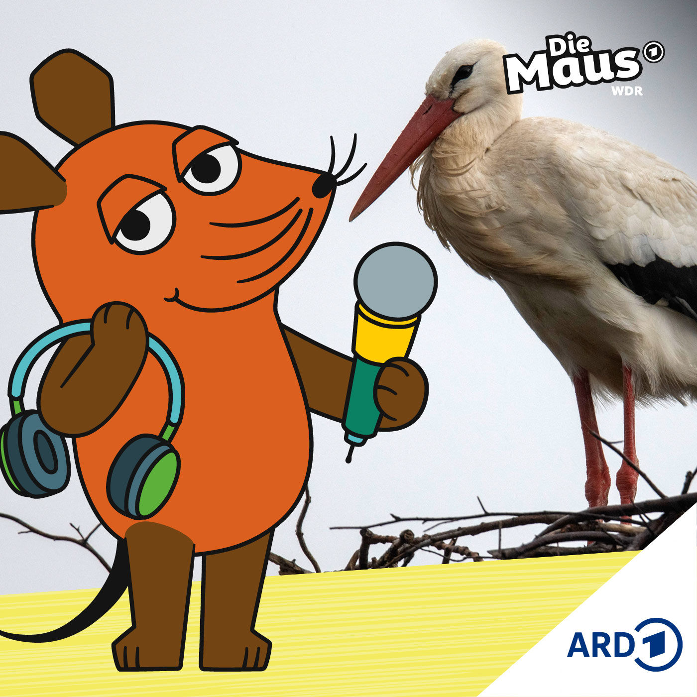 Winter-Störche beobachten und zählen