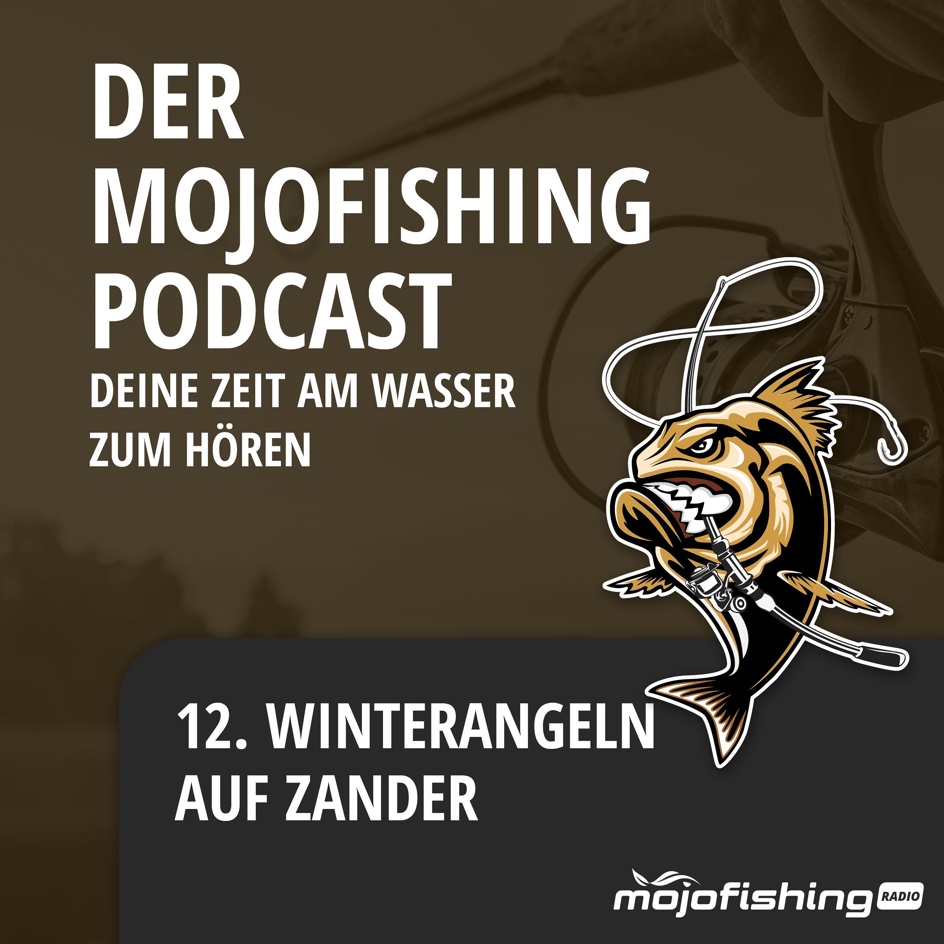Winterangeln auf Zander