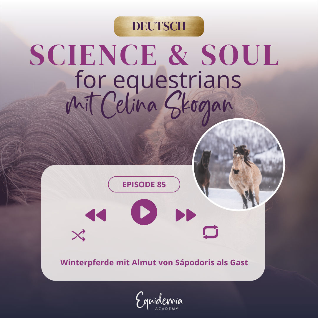 Winterpferde mit Almut von Sápodoris als Gast