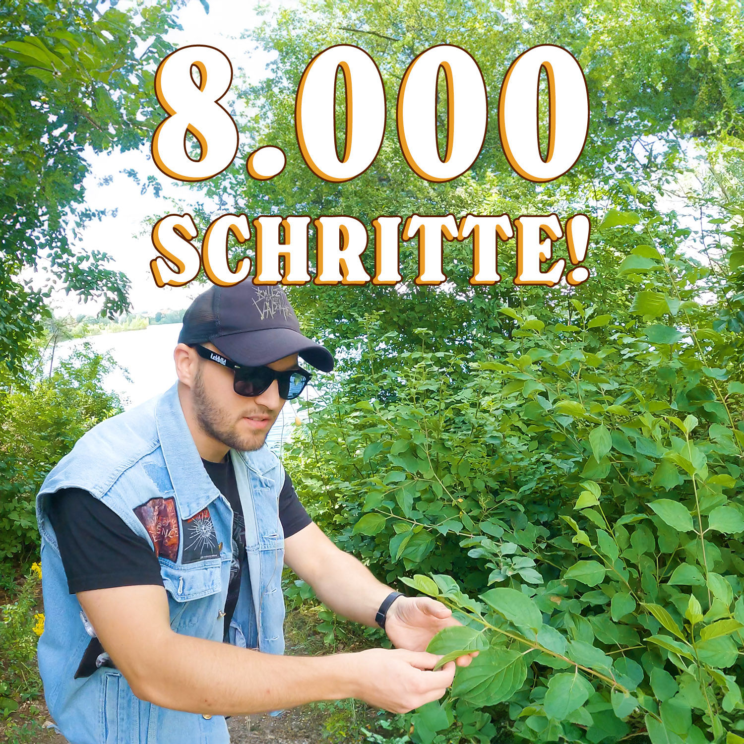 Wir erkunden die Natur mit Prof. Dr. Dr. Rischat | Schritt für Schritt: 8K