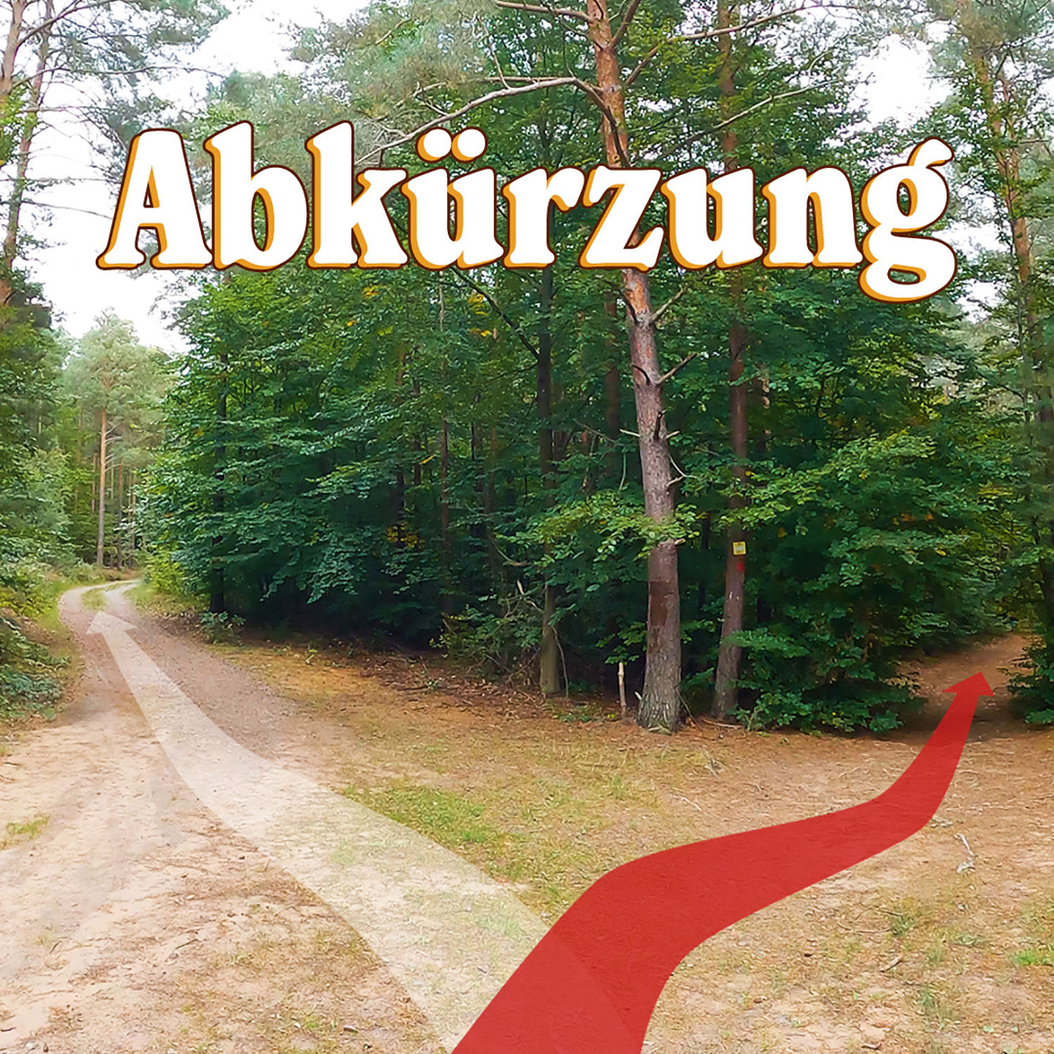 Wir müssen eine Abkürzung nehmen! | Schritt für Schritt: Update