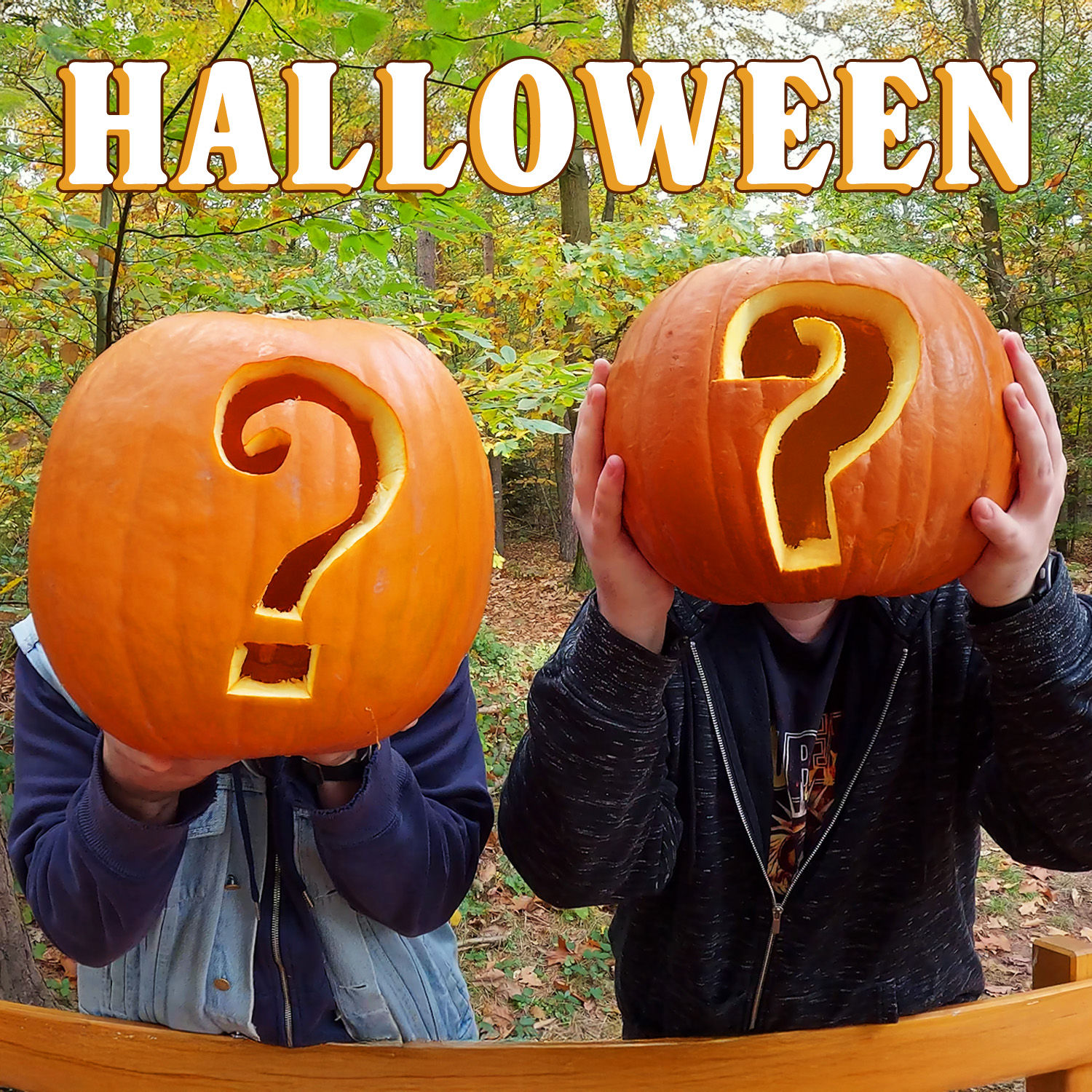 Wir versagen beim Kürbisse Schnitzen... 🎃 | Mit Rucksack und Bier #26