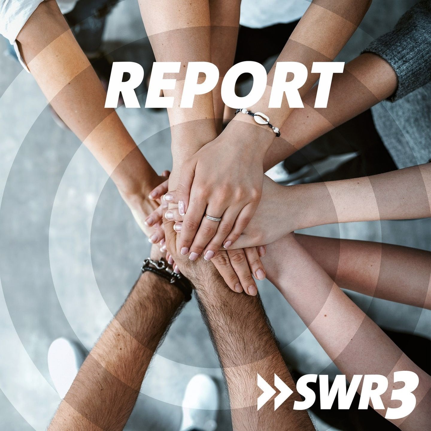 Wir – was unsere Gesellschaft zusammenhält