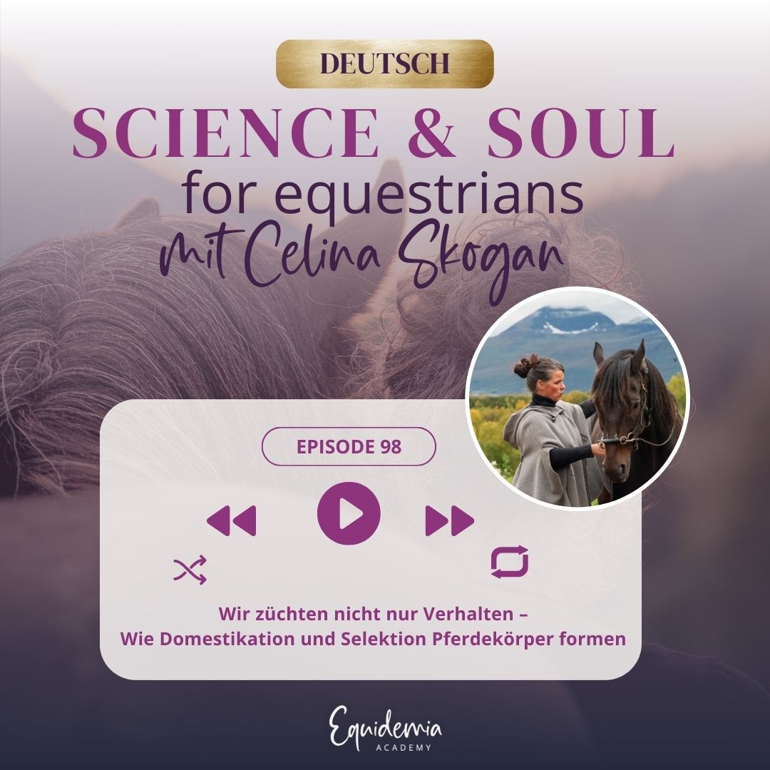 Wir züchten nicht nur Verhalten – Wie Domestikation und Selektion Pferdekörper formen