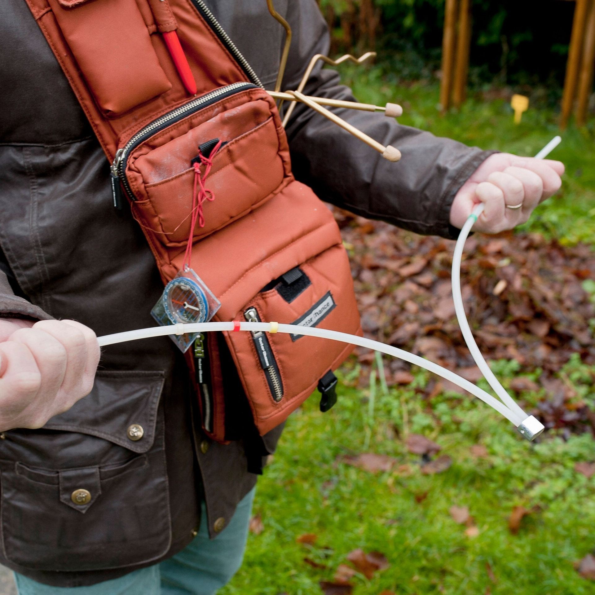 Wird unsere Gesundheit von Wasseradern beeinflusst?