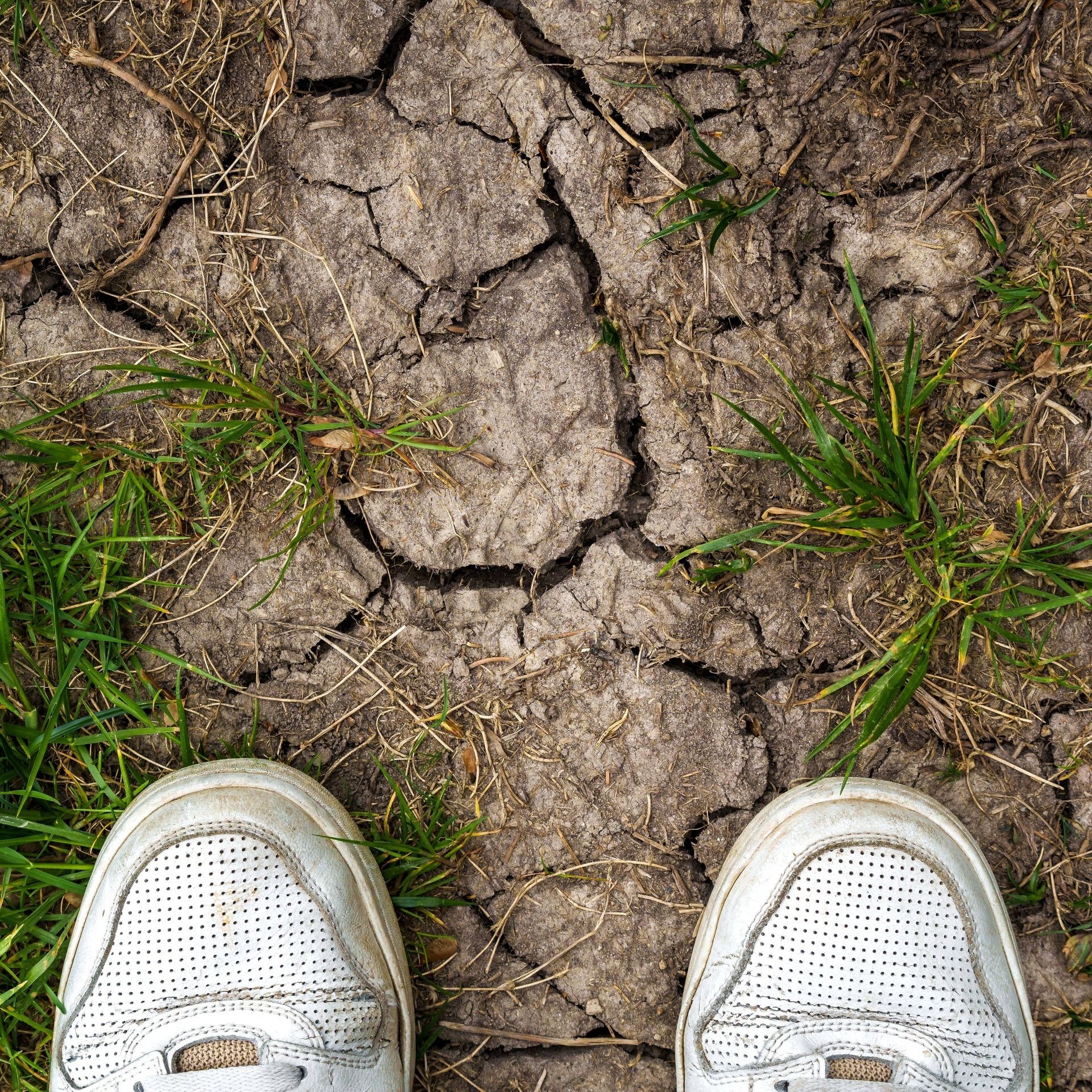 Wirtschaft, Migration, Krieg - Warum ist Klima kein Thema mehr?