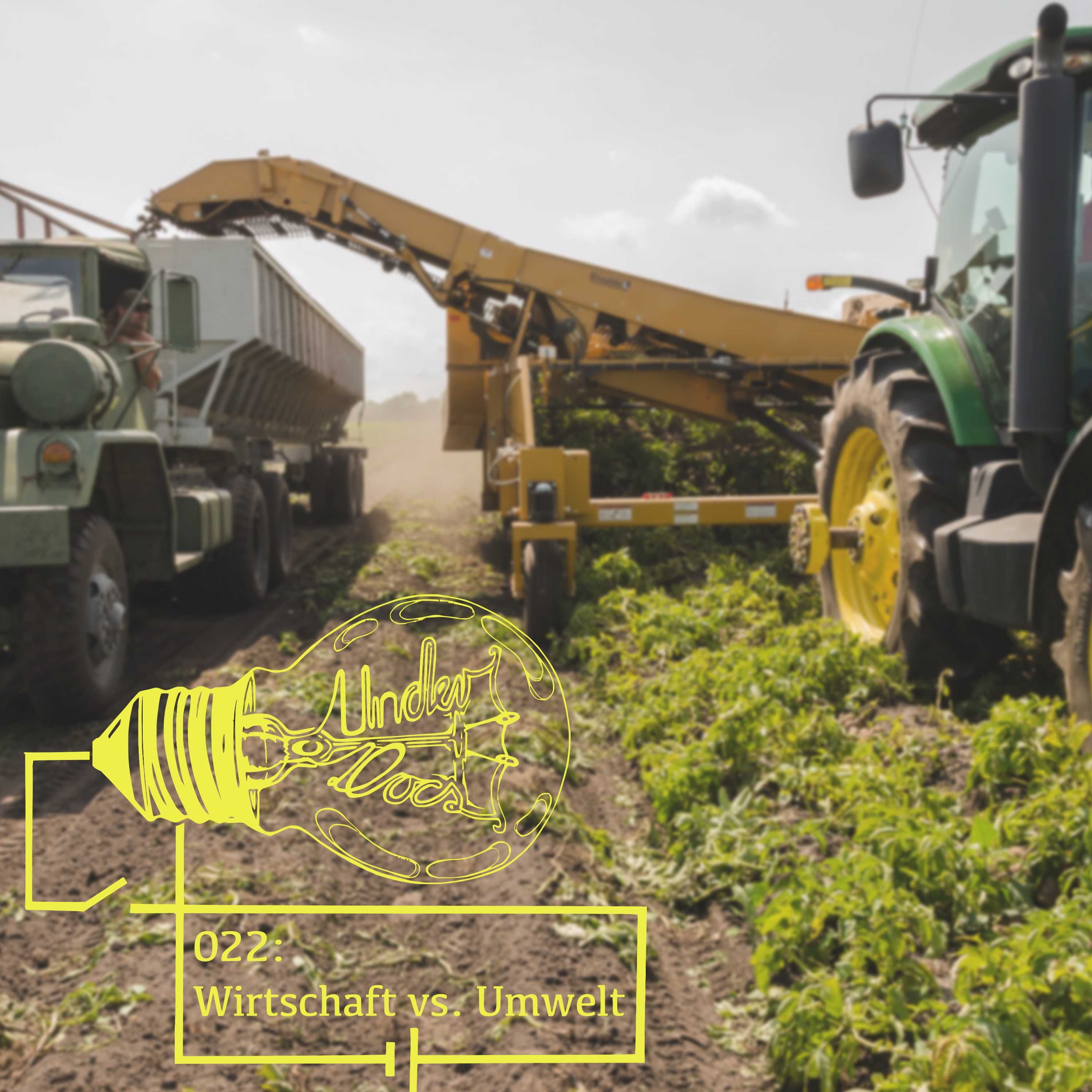 Wirtschaft vs. Umwelt
