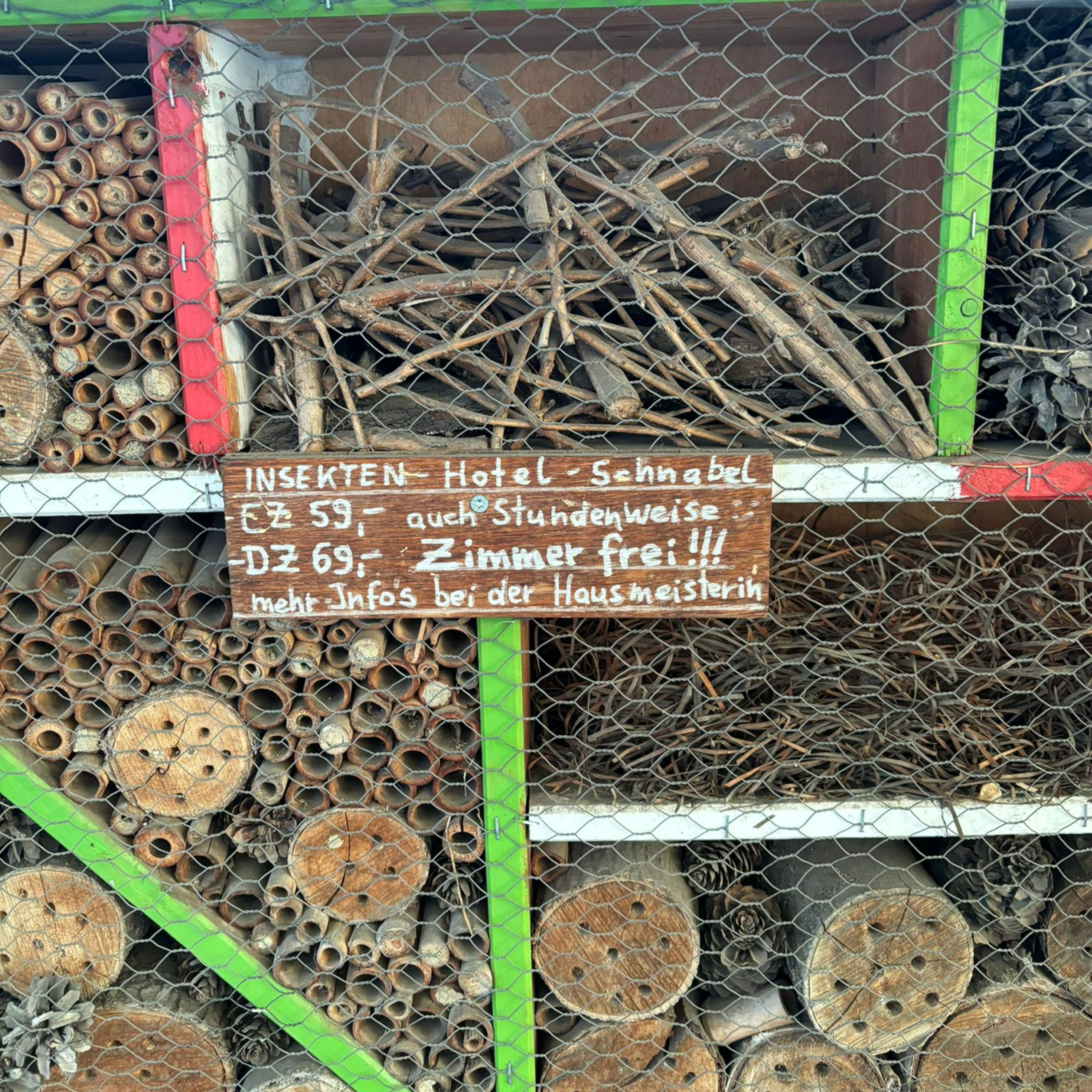 Wo krabbelst du denn hin, KLEINE Laus?