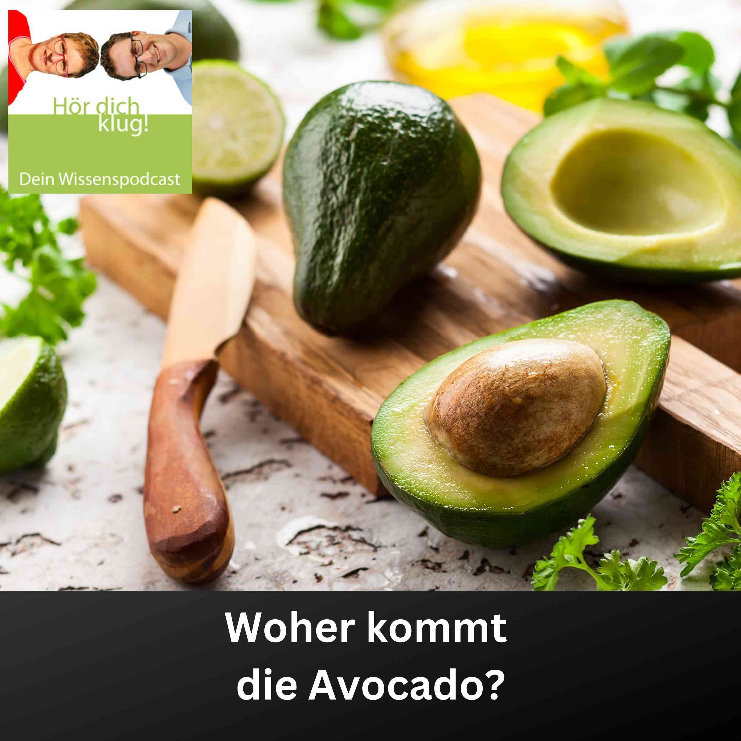 Wo wächst die Avocado?