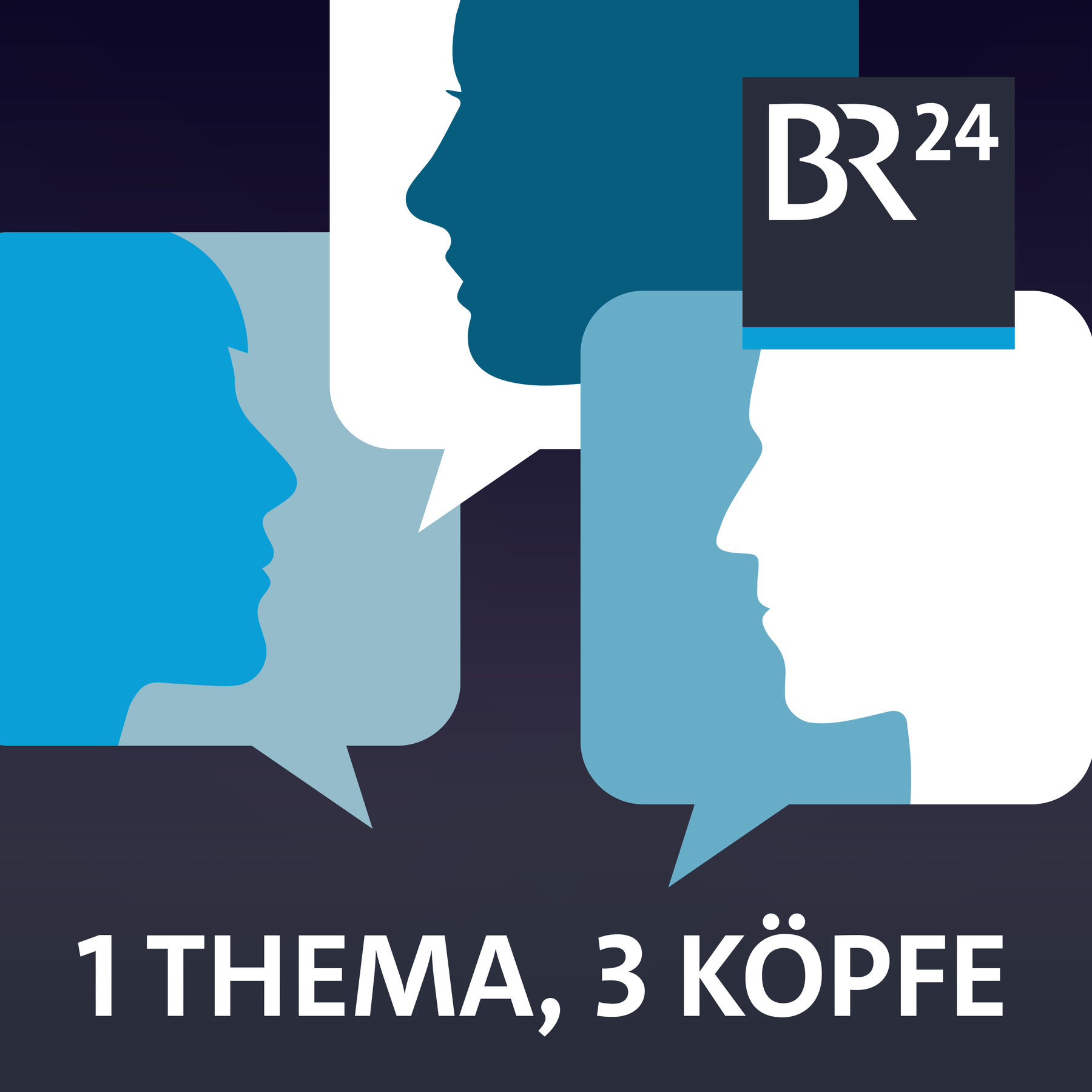 Wo wollen die Freien Wähler hin?